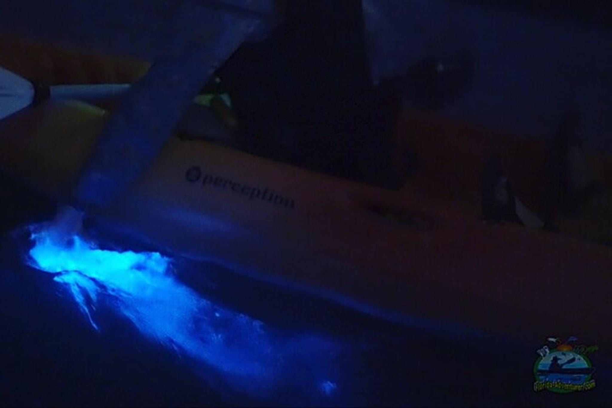 Titusville Bioluminescence Kayaking Tour 90 Min - Image 3