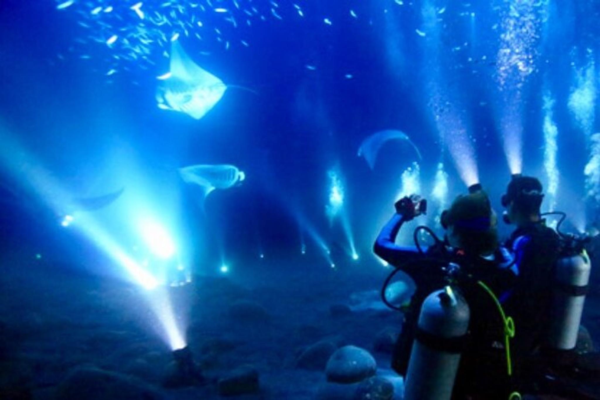 Kona Manta Ray Night Snorkel and Dive 3 hr - Image 5