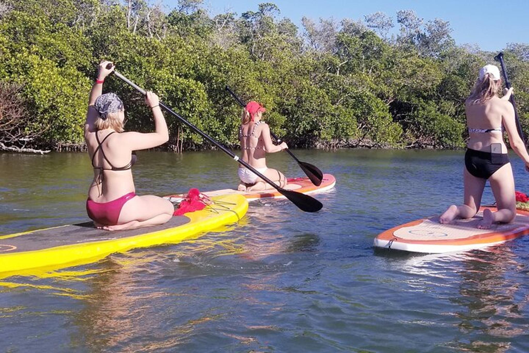 Bonita Springs Stand Up Paddleboard Rental