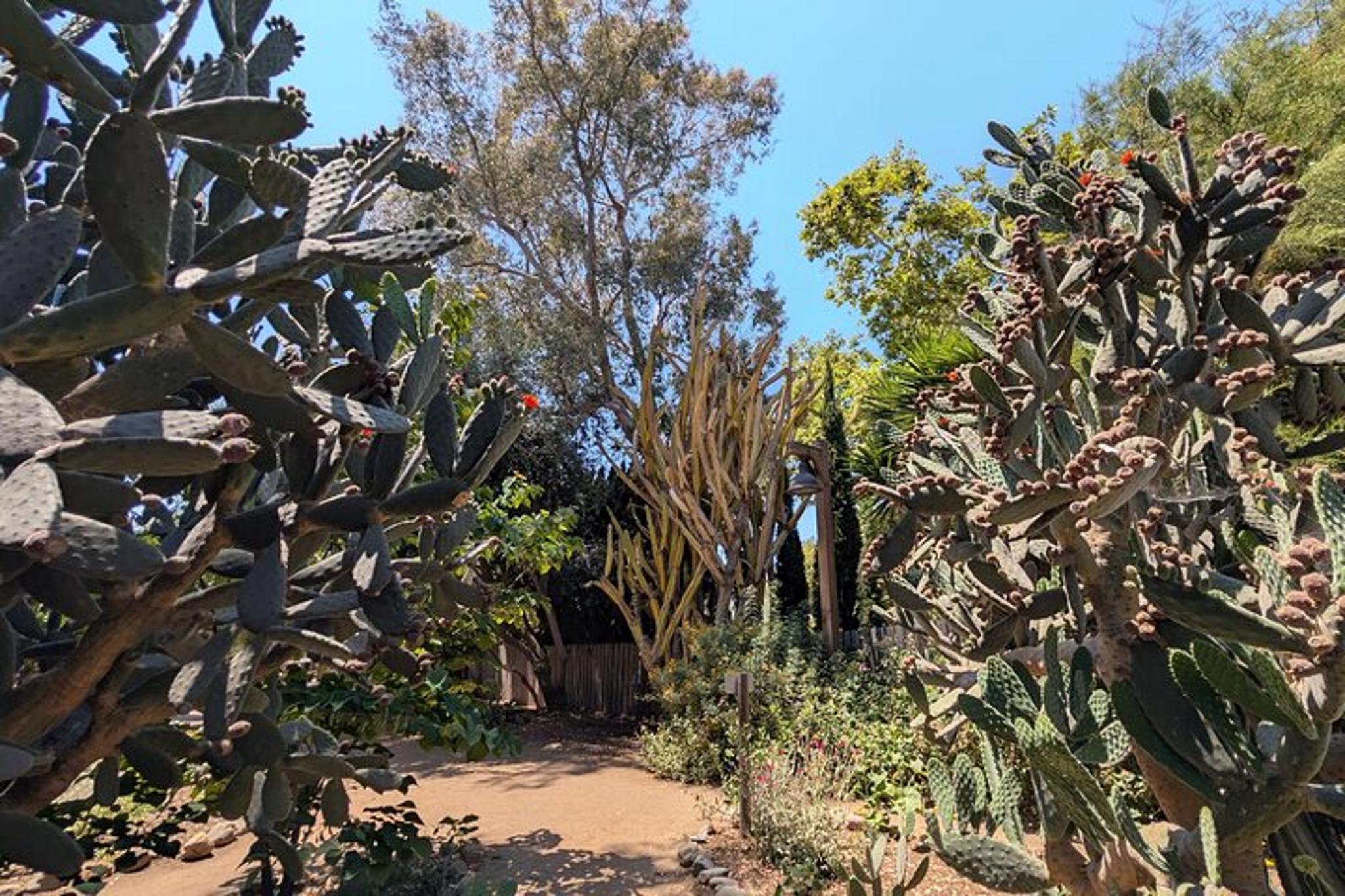 San Juan Capistrano Scavenger Hunt Tour 90 min - Image 3