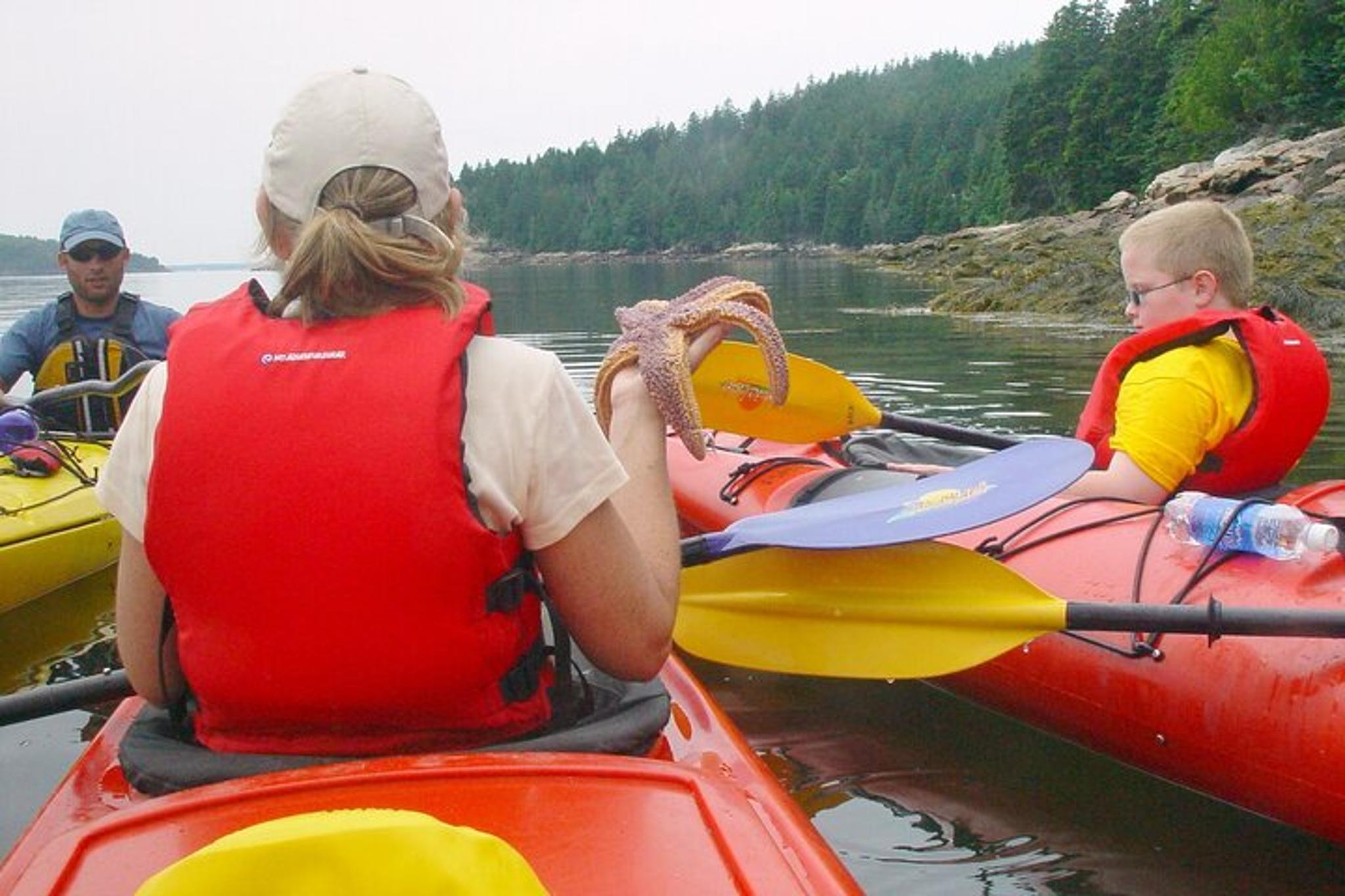 Southwest Harbor Kayak Tour - Image 6