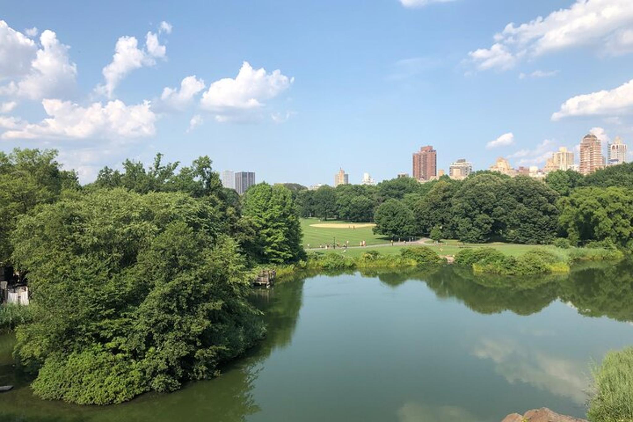 New York City Central Park Scenic Walk - Image 5