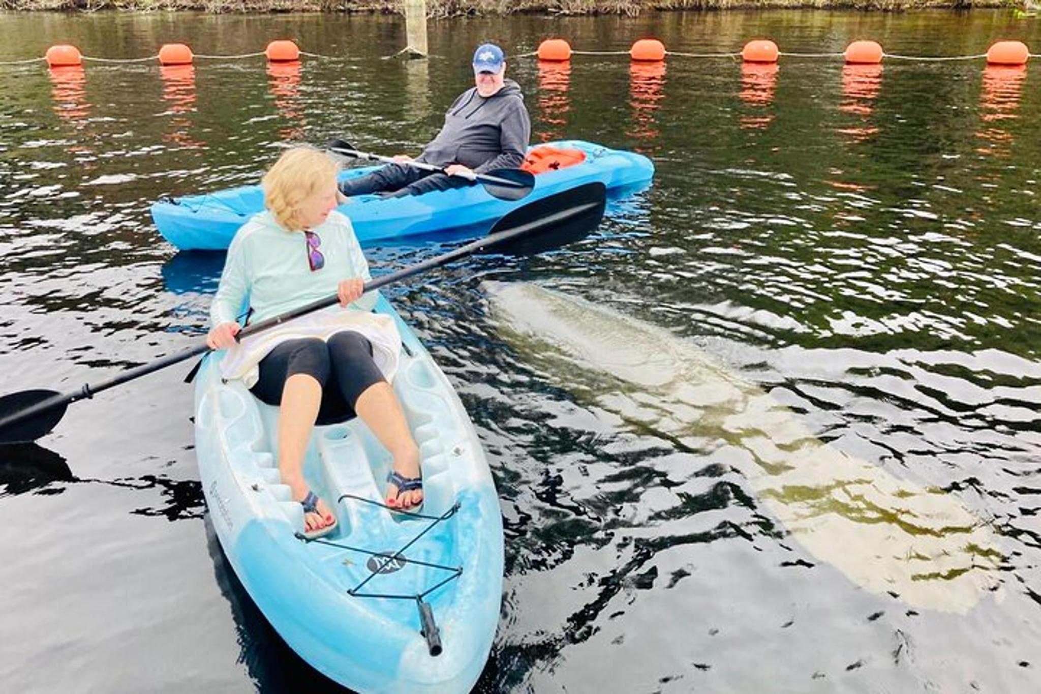 Orlando Manatee and Natural Spring Adventure - Image 6