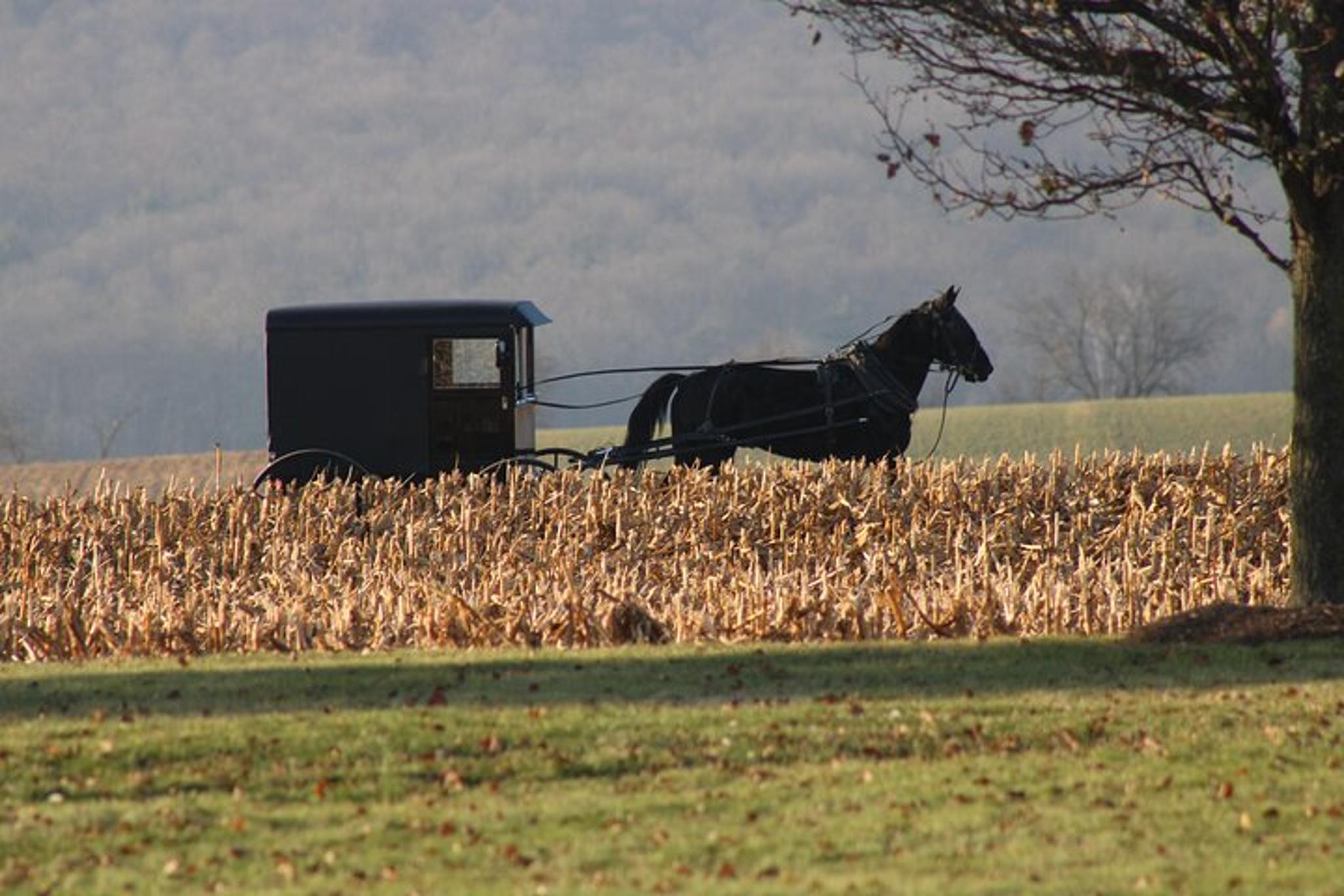 Washington DC and Amish Country Tour 2 Days - Image 5