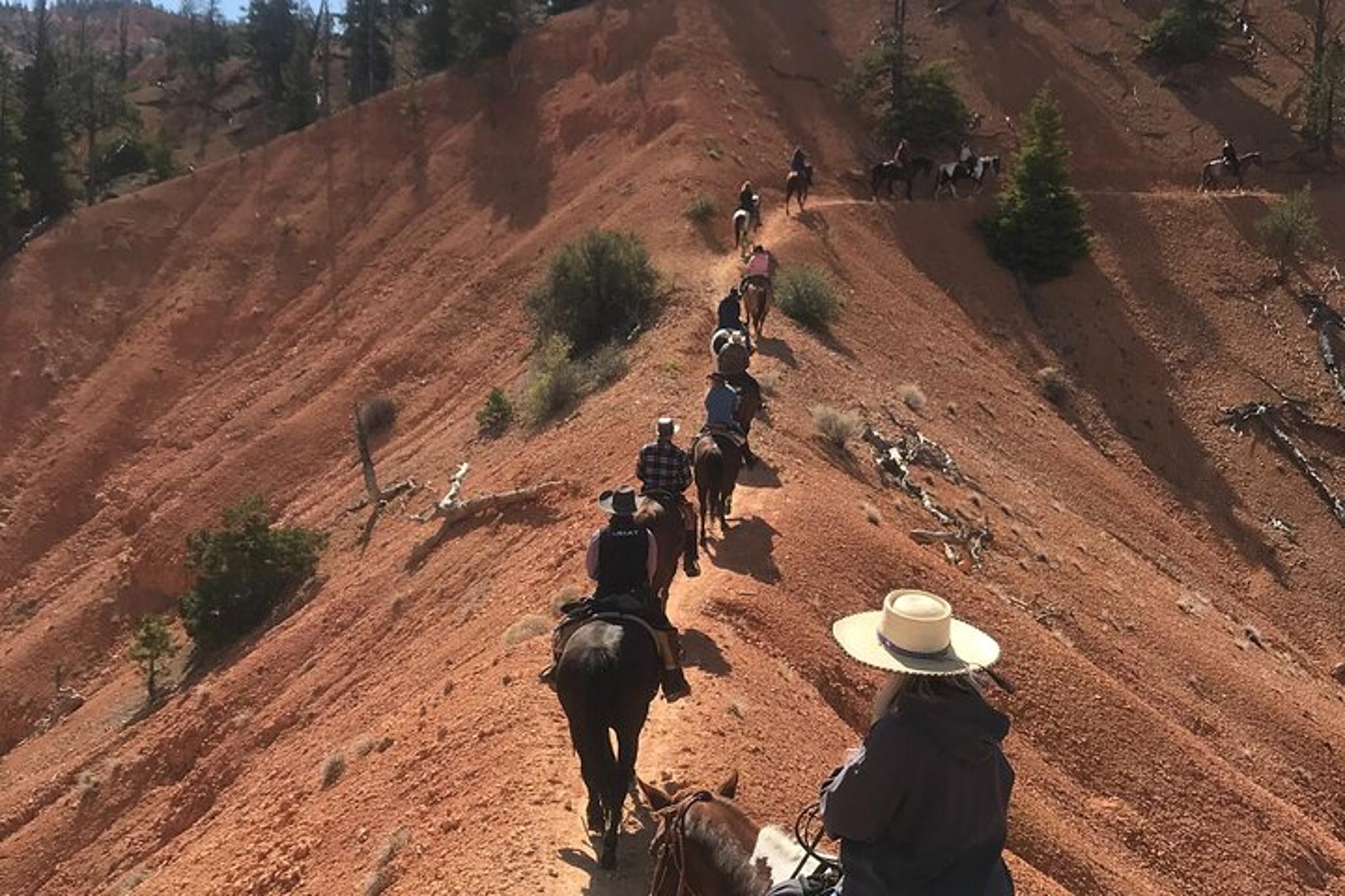 Utah Horseback Adventure Thunder Mountain 4 Hour Ride - Image 2