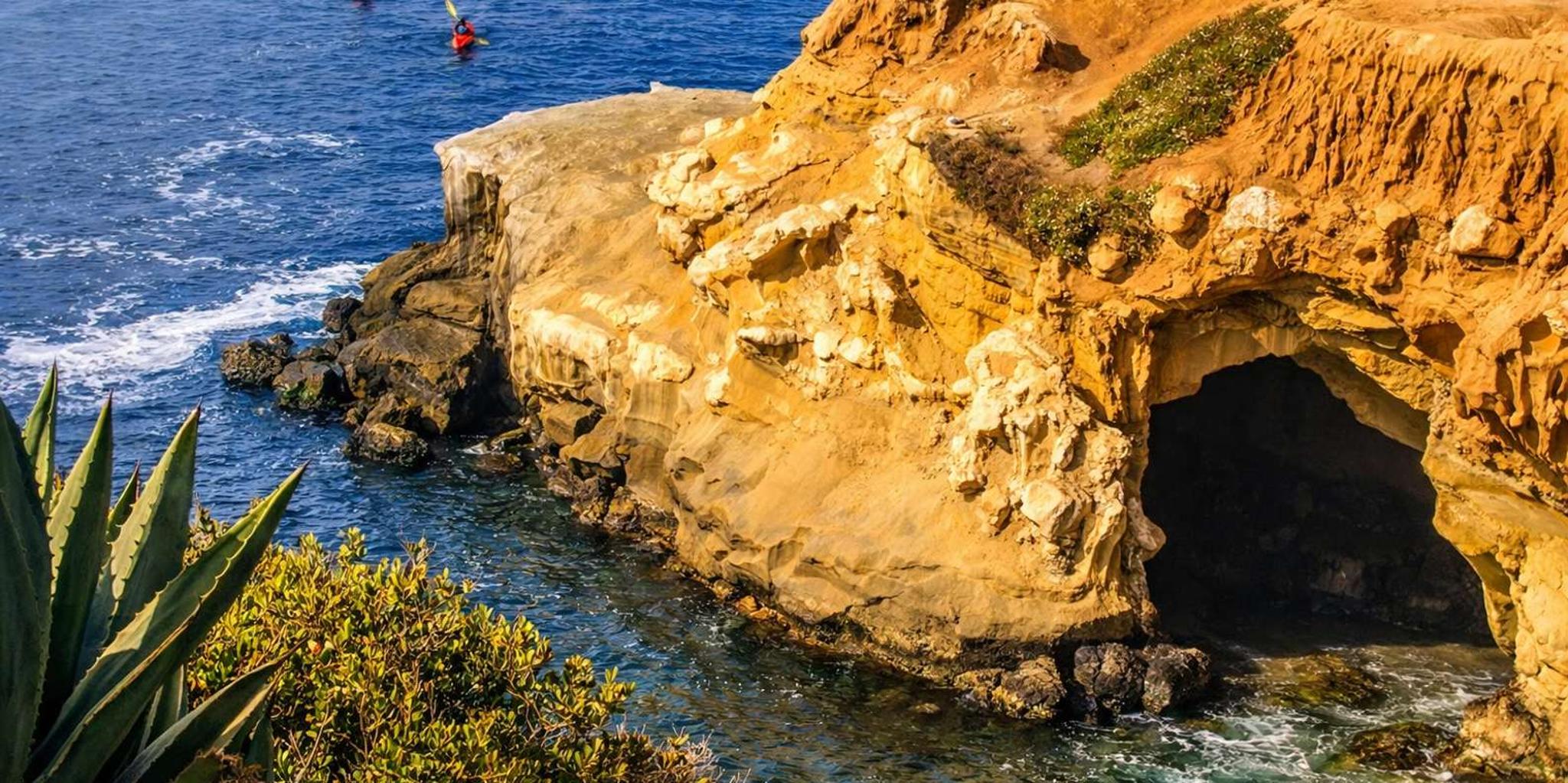 La Jolla Snorkel Gear Rental Full-Day - Image 5