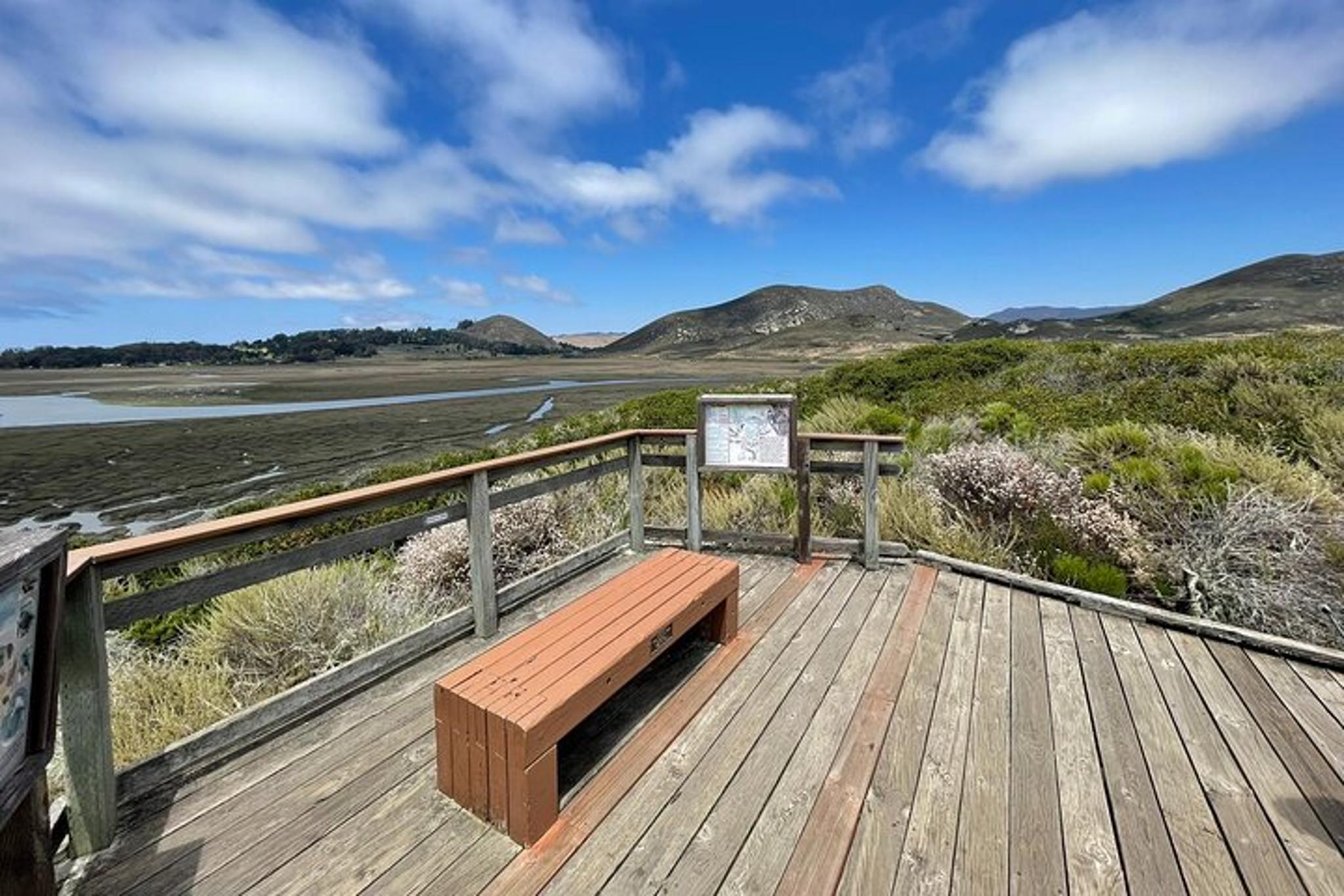 Morro Bay Nature Tour with Tasting 90 min - Image 6