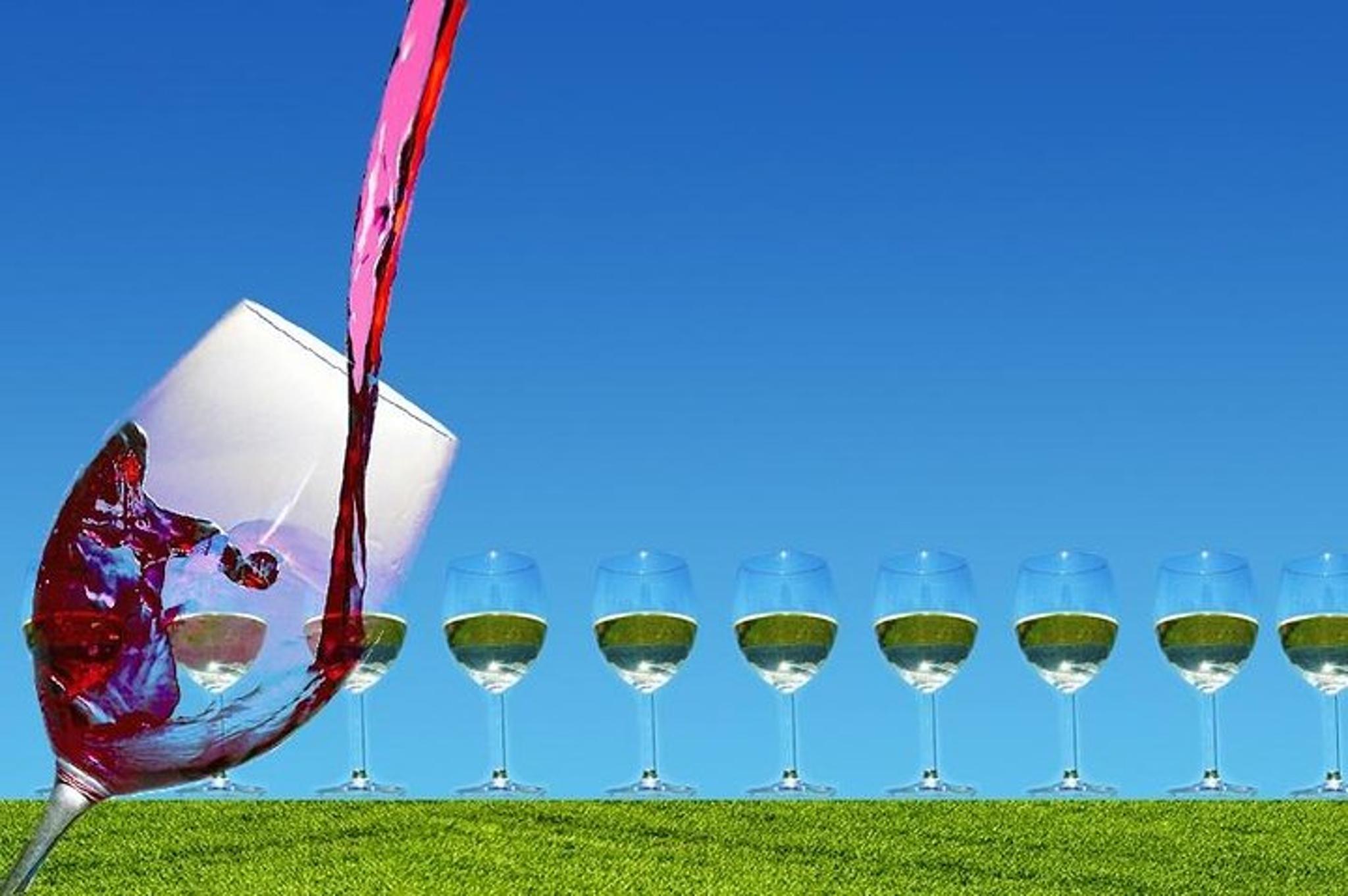 Amador County Private Wine Tour - Image 2