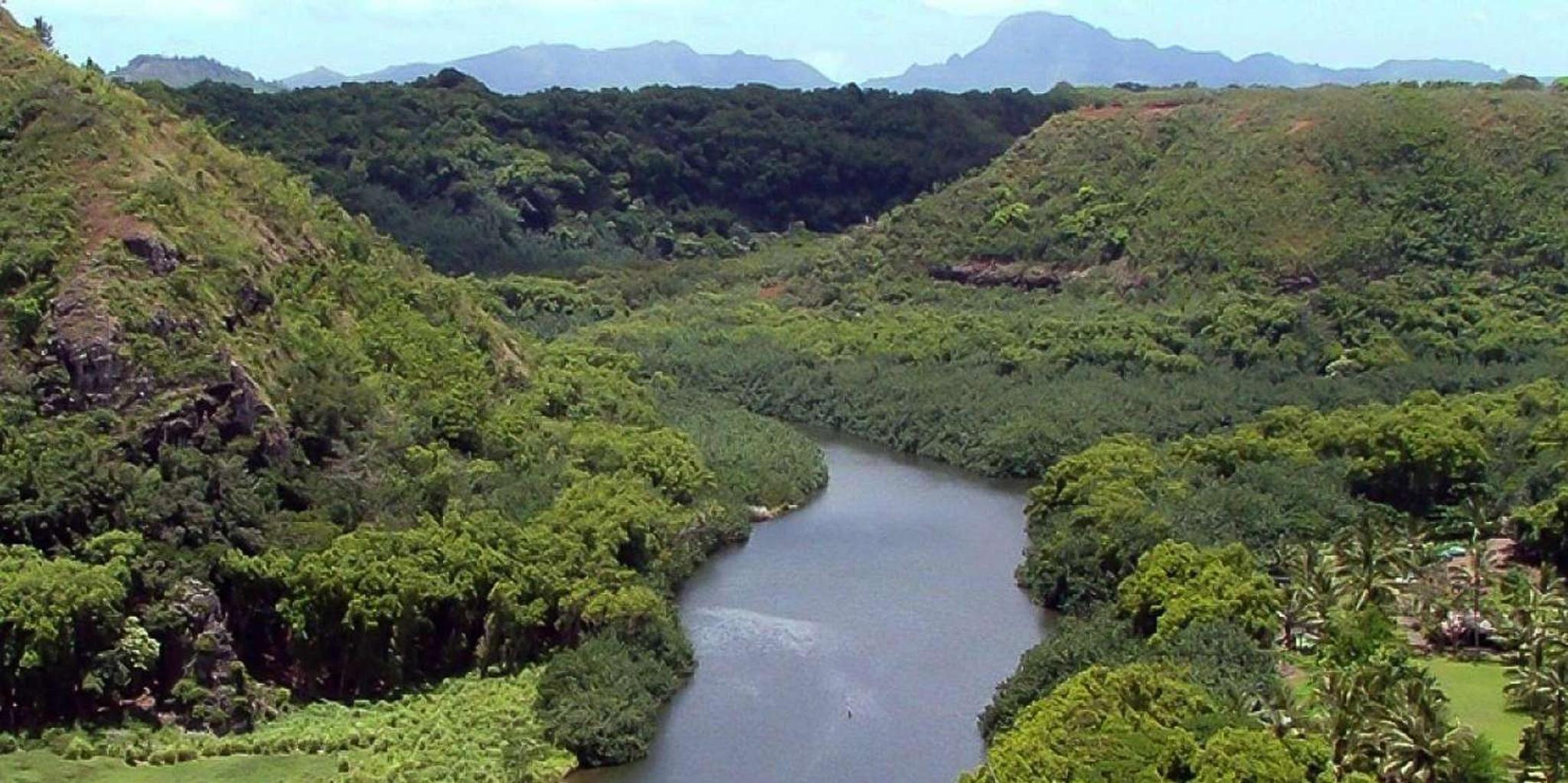 Kauai River Cruise and Lighthouse Tour - Image 2