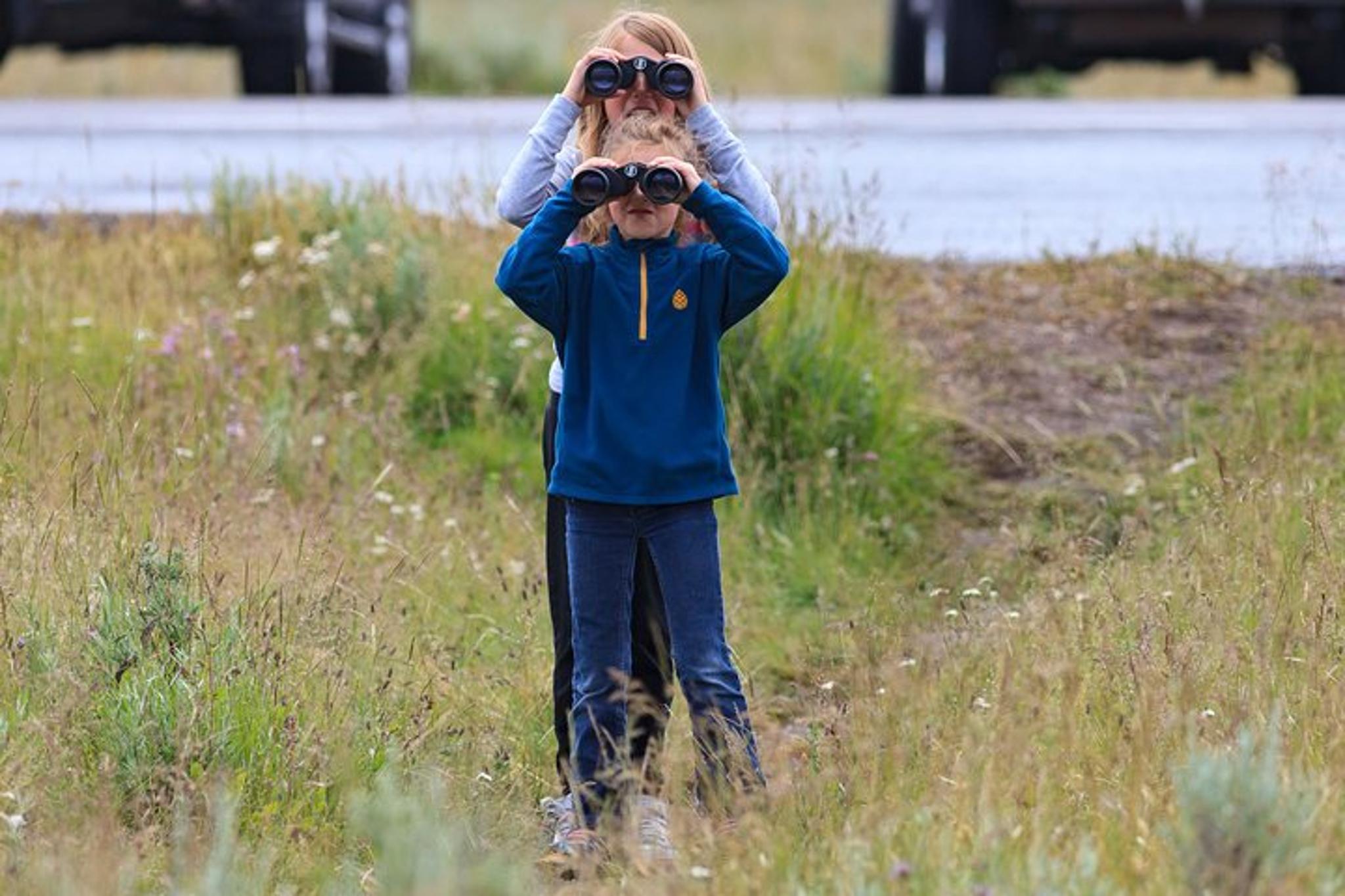 Yellowstone National Park Safari Tour - Image 4