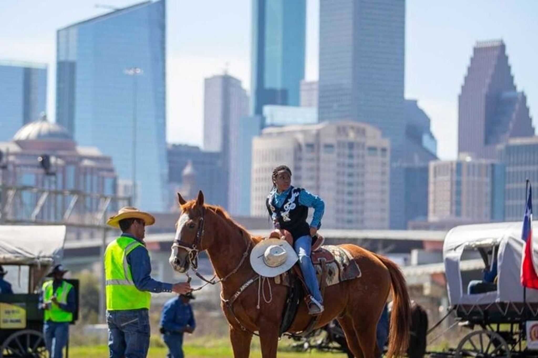 Houston Day Trip with Lunch - Image 2