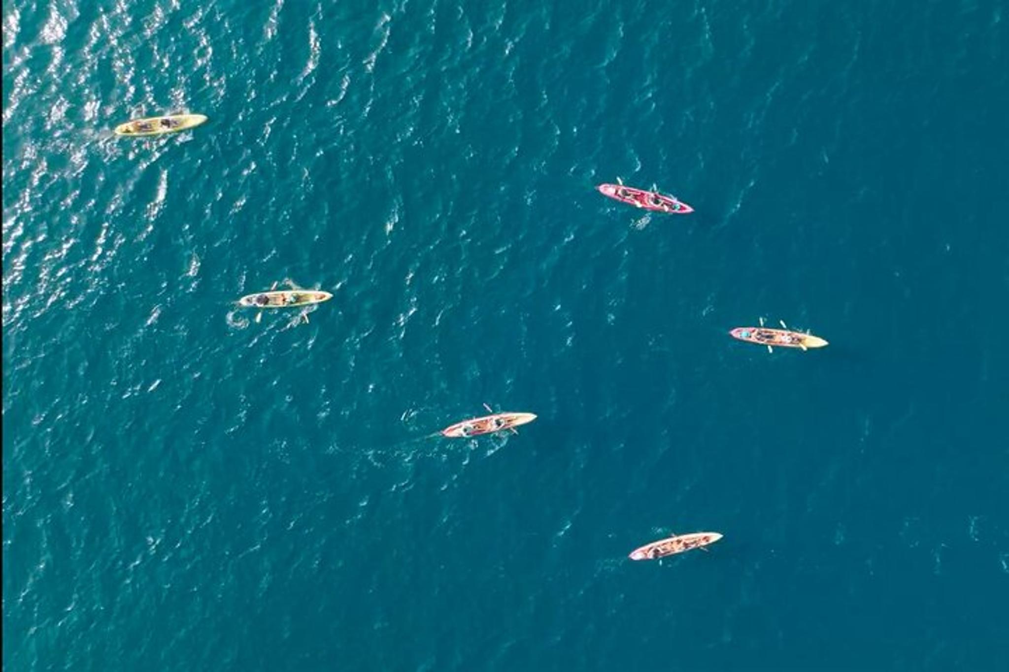 Point Reyes Sea Kayak Adventure - Image 1