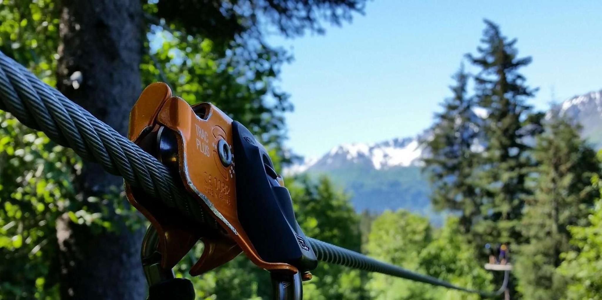 Seward Canopy Zipline Adventure