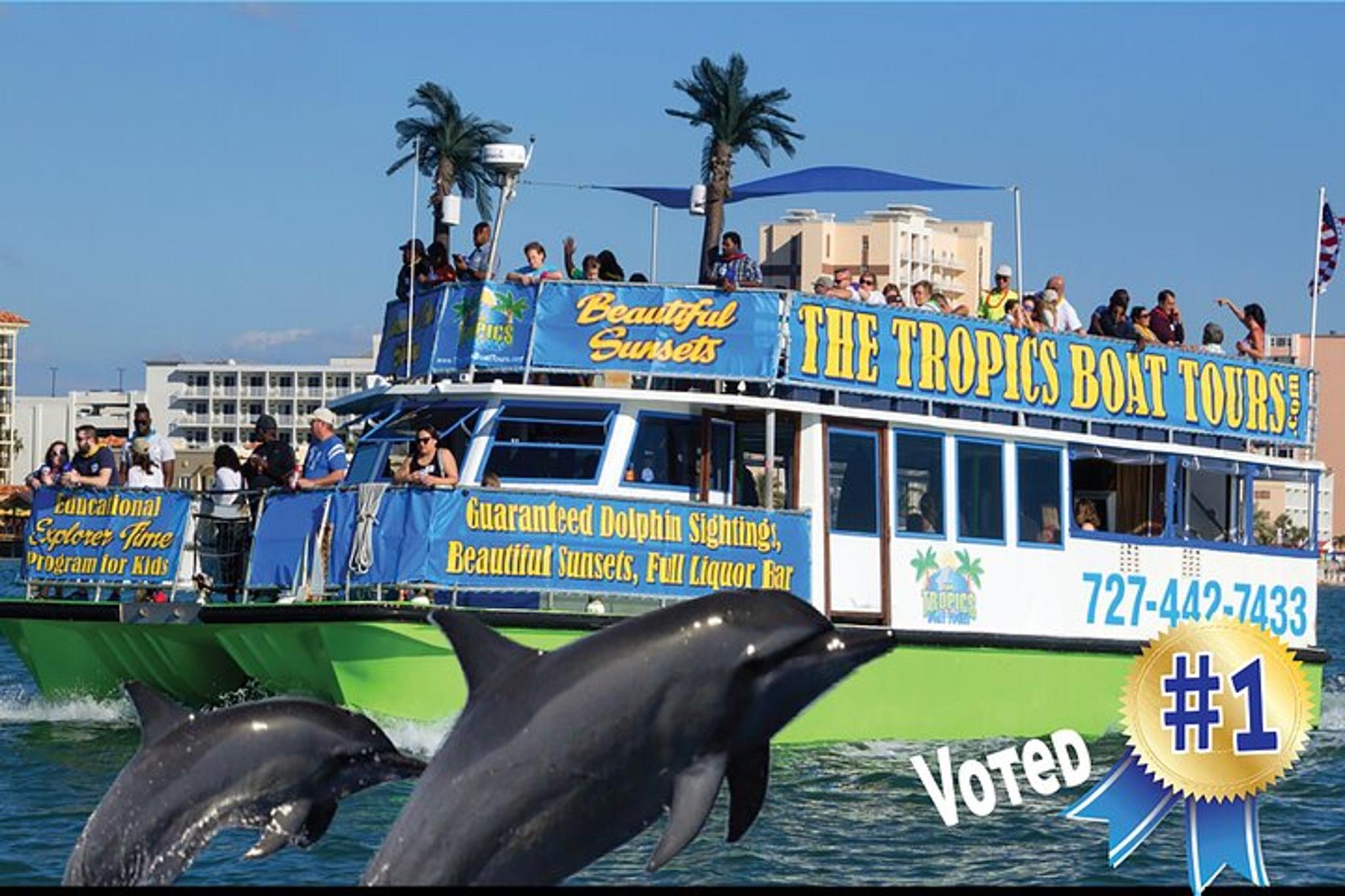 Clearwater Dolphin Cruise with Guaranteed Sightings 2 hr - Image 6