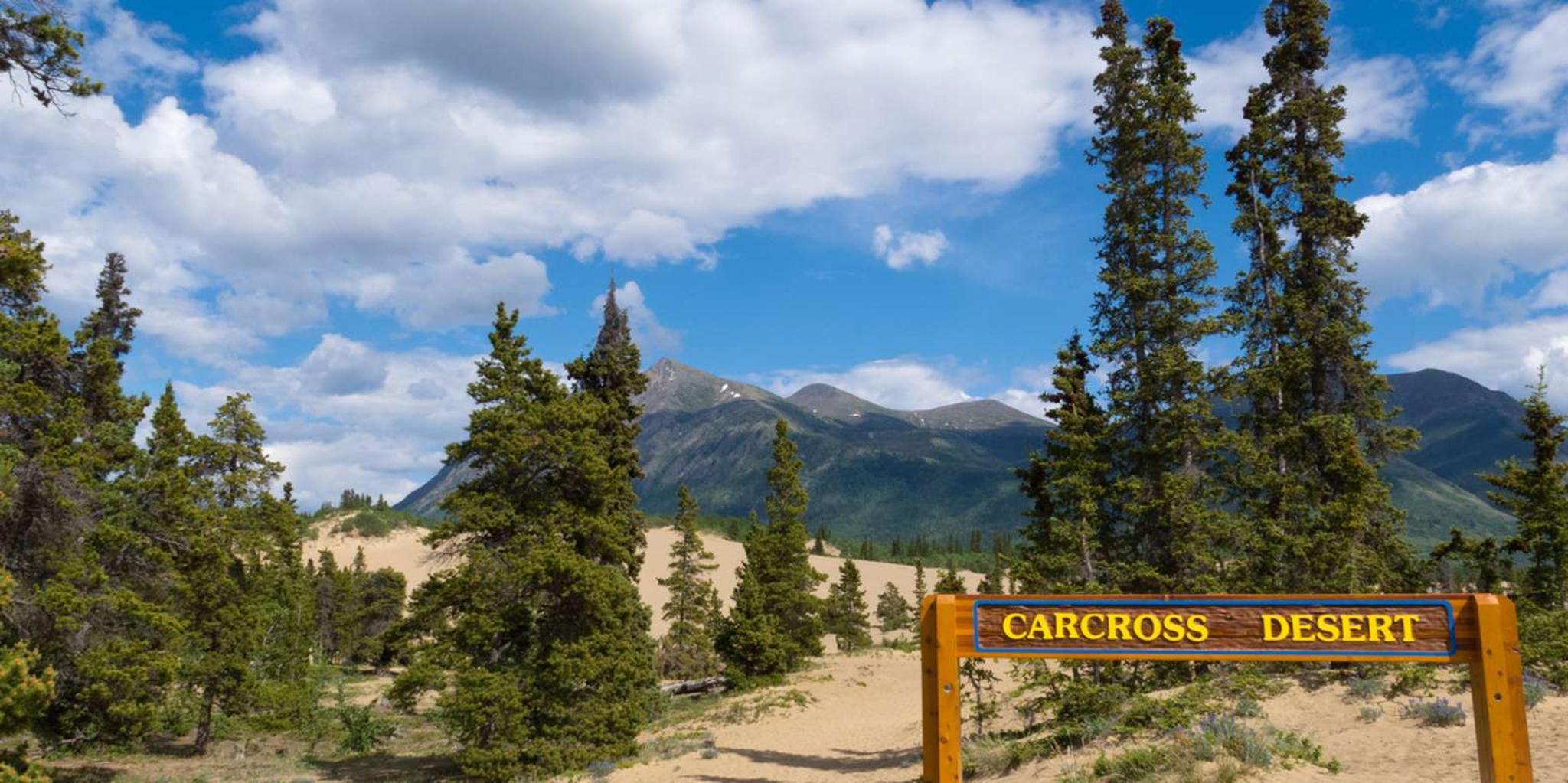 Yukon Lakes and Wilderness Tour