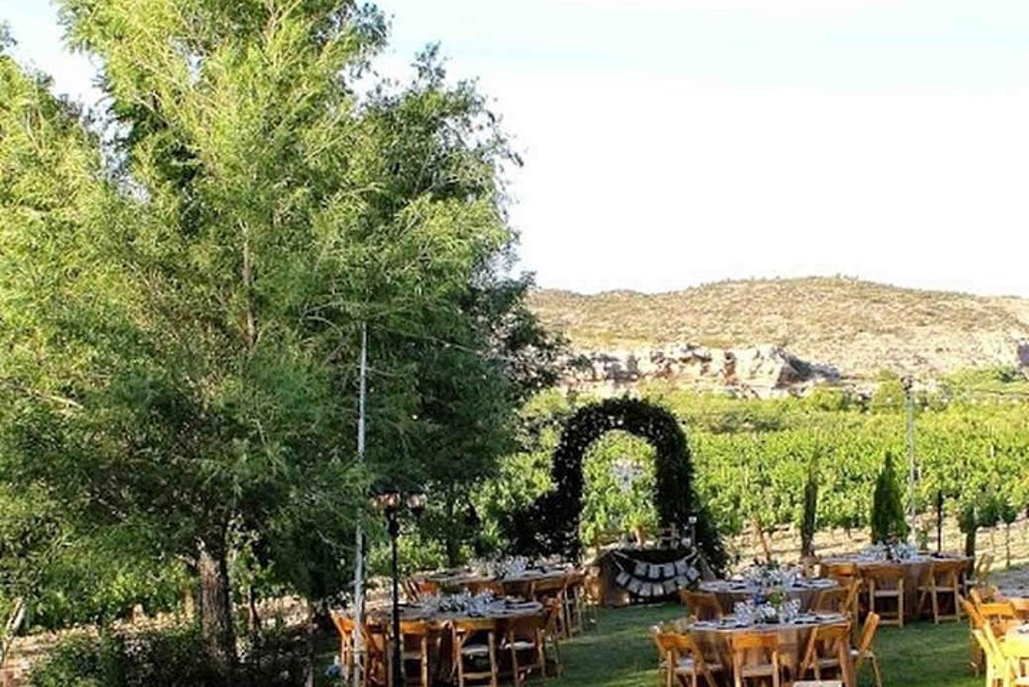 Arizona Vineyard Wine Tasting Tour - Image 1