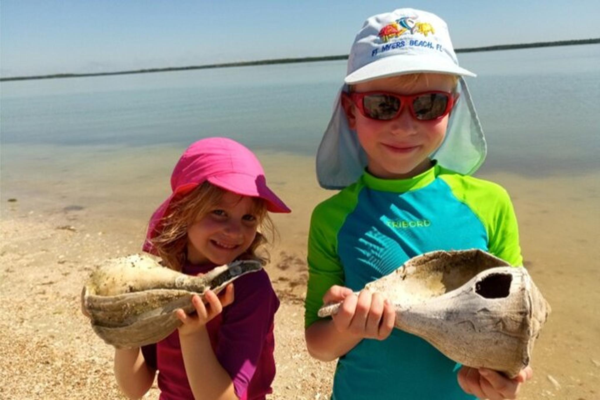 Everglades City Boating and Walking Expedition - Image 5