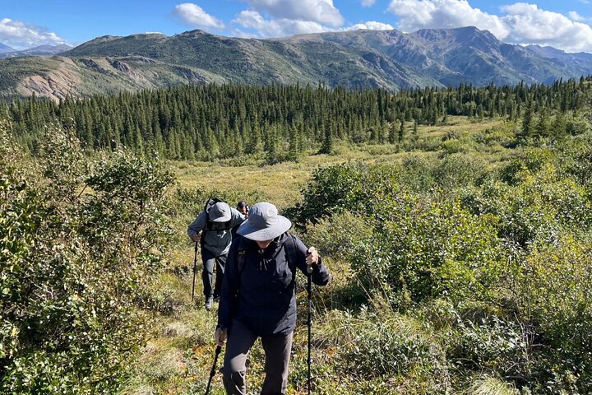 Denali Off-Trail Hiking Adventure - Image 6