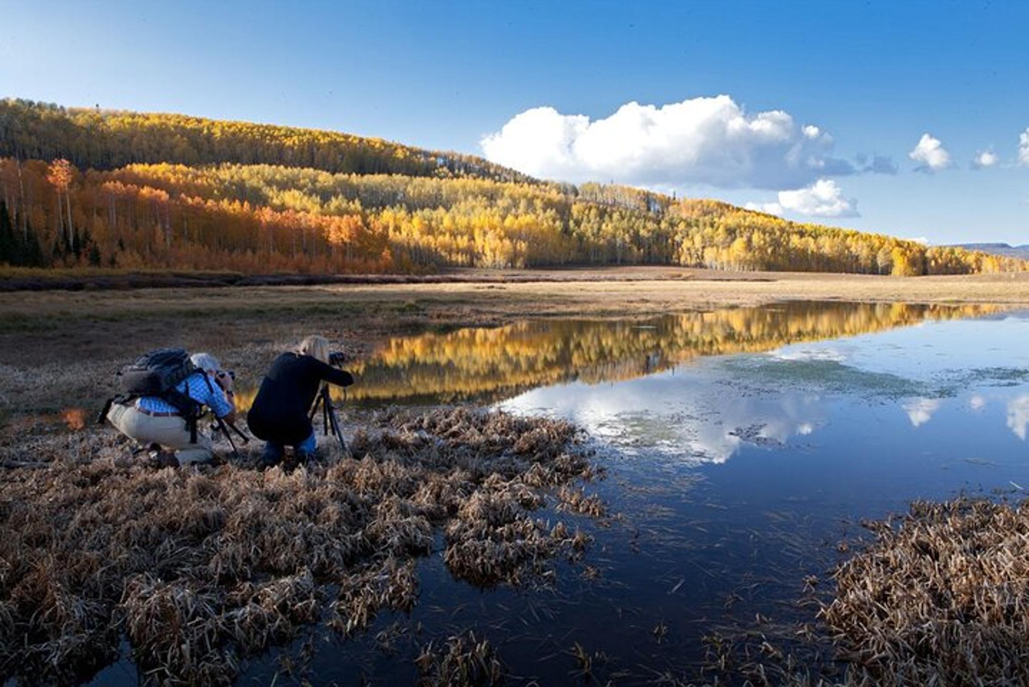 Wasatch Mountains Photo Workshop - Image 3