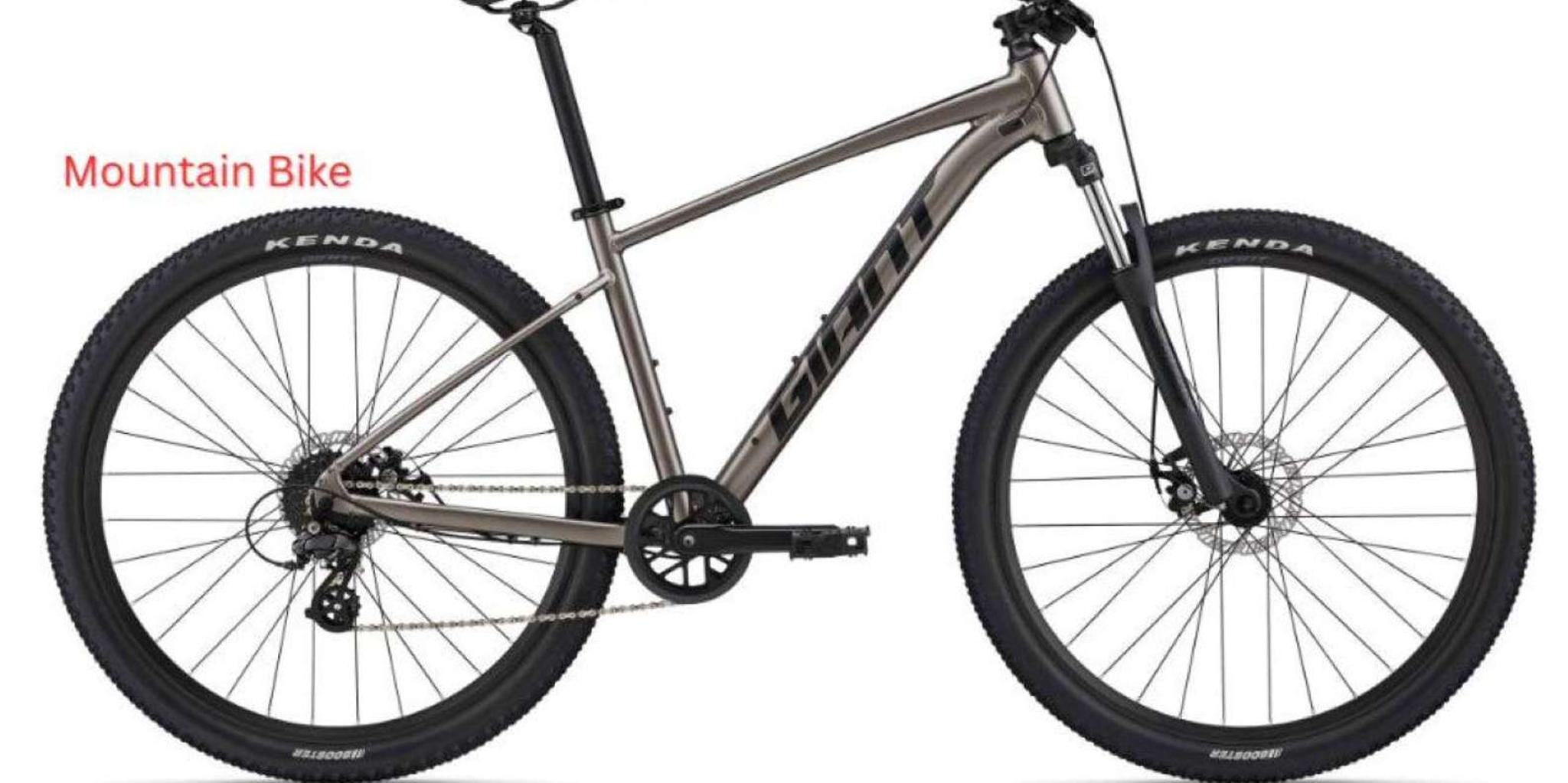 Los Angeles Bike Rental: Pedal or Electric Options - Image 4