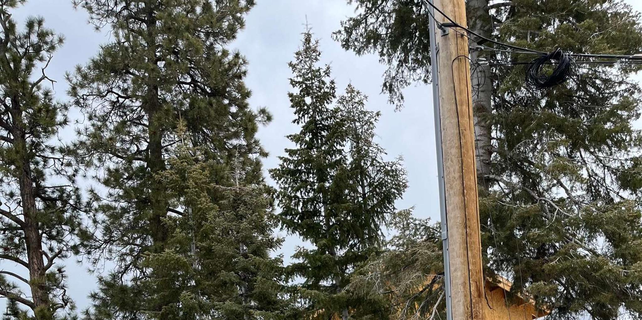 Las Vegas Mount Charleston Driving Adventure