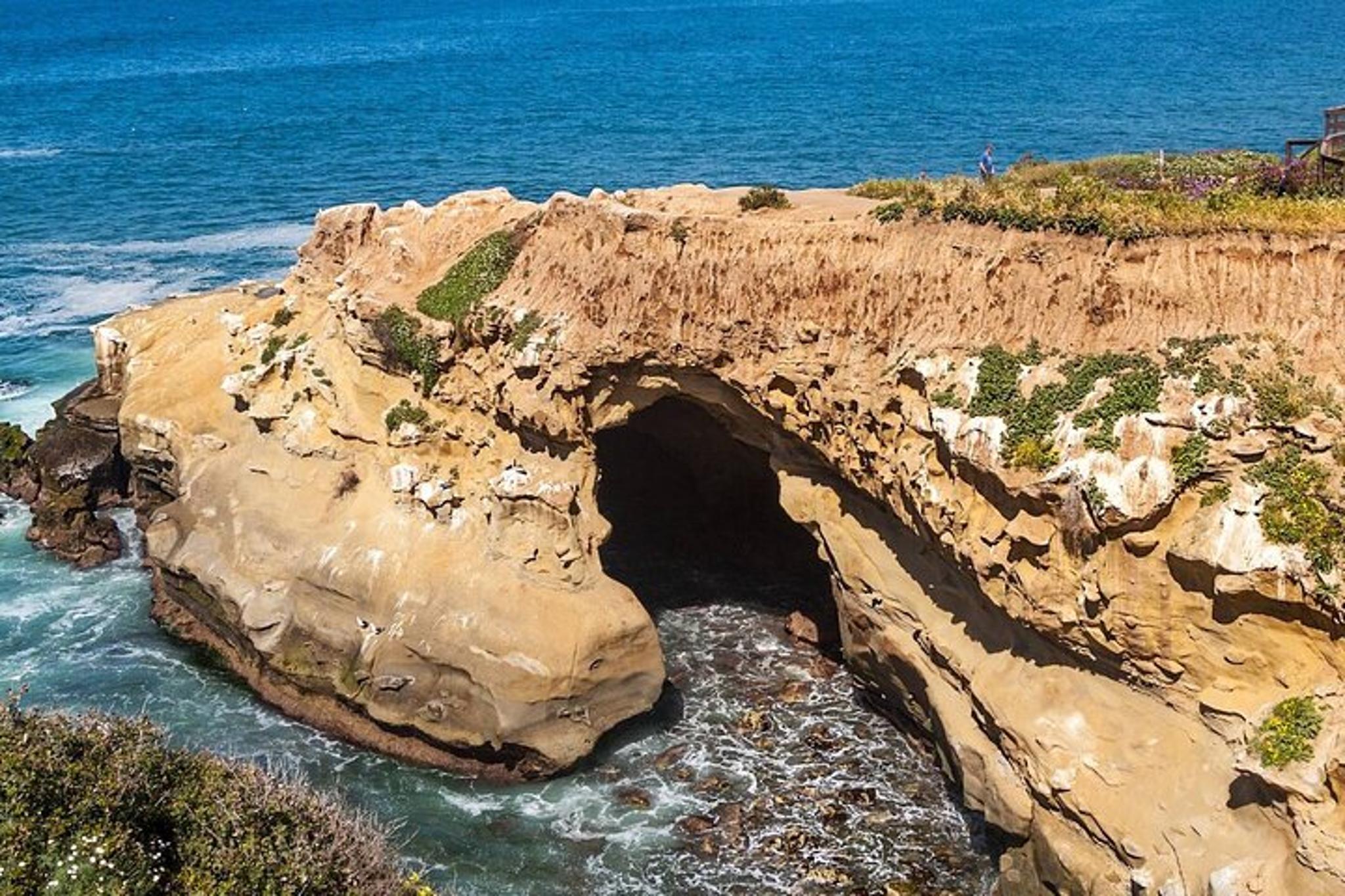 San Diego Walking Tour in La Jolla 1.5 Hr - Image 2