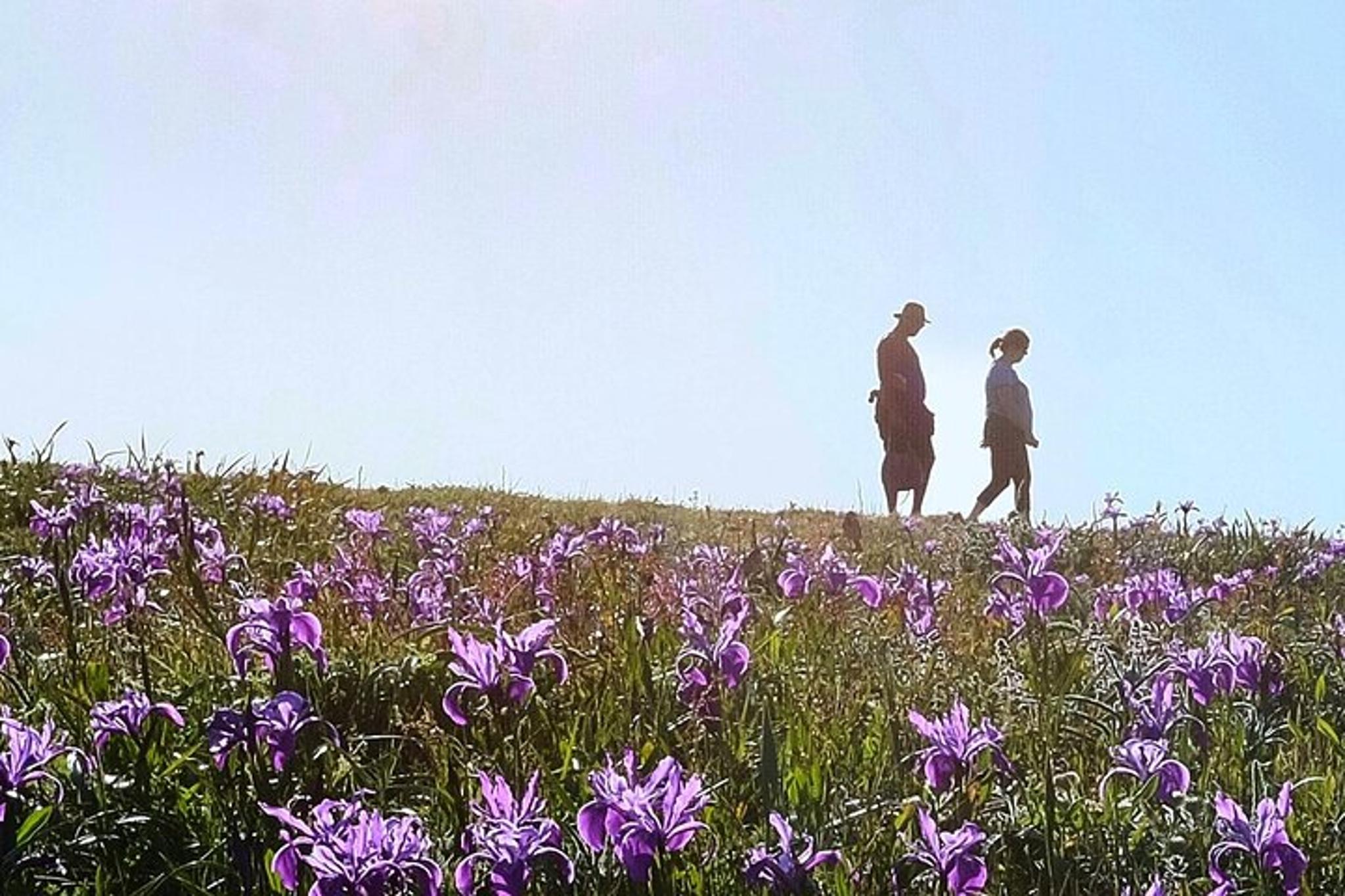 Bodega Head Self-Guided Audio Tour - Image 5