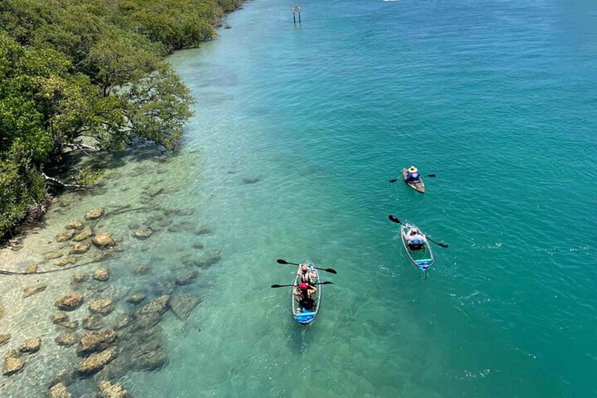 Jupiter Clear Kayak Eco-Tour - Image 3