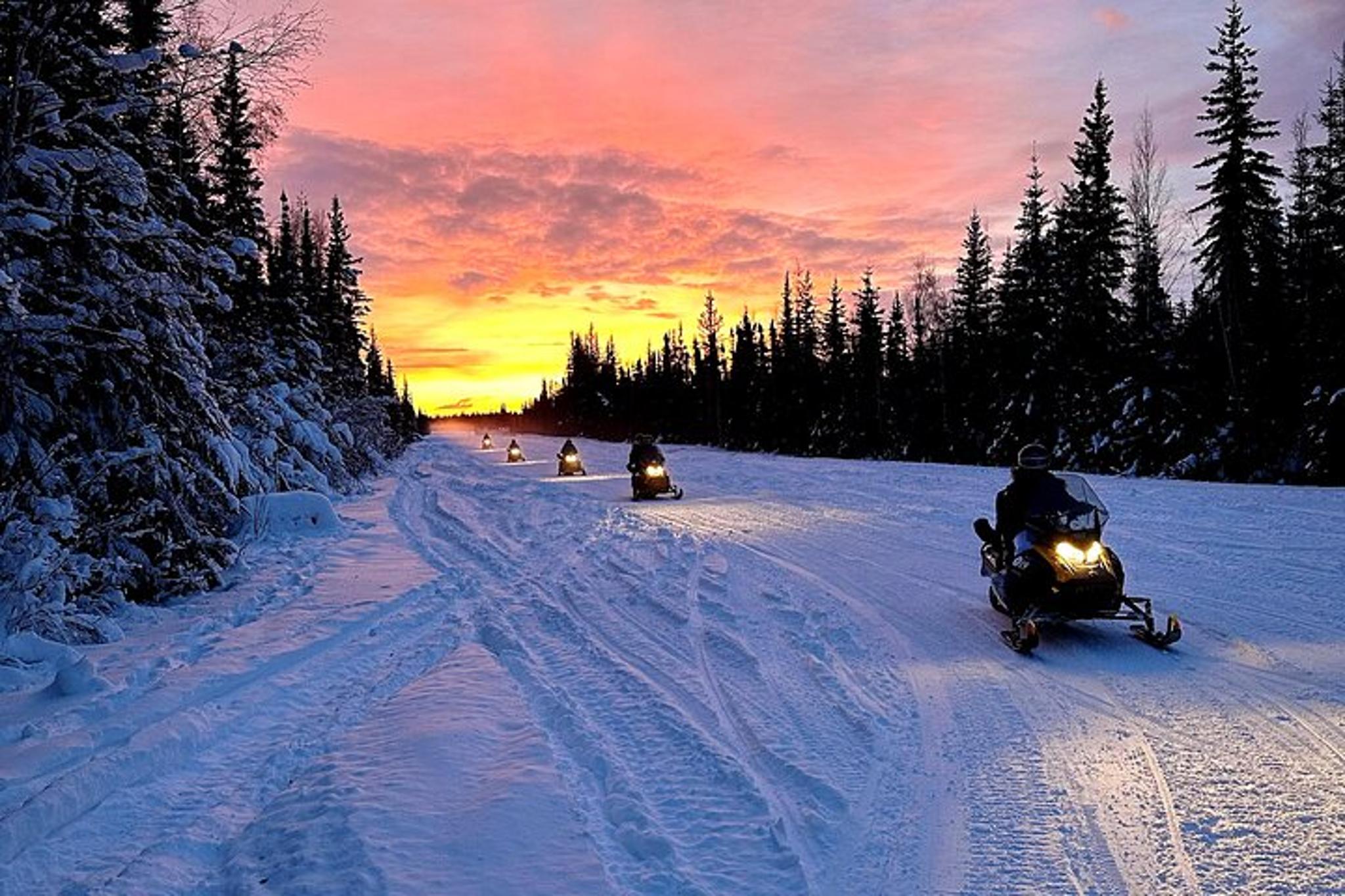 Fairbanks Snowmobile Adventure 1 Hr - Image 2