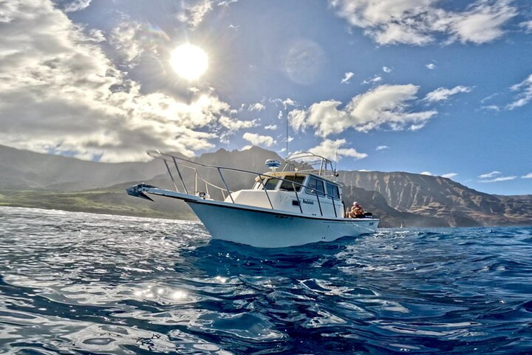 Kaua'i Whale Watching and Snorkeling Adventure - Image 4