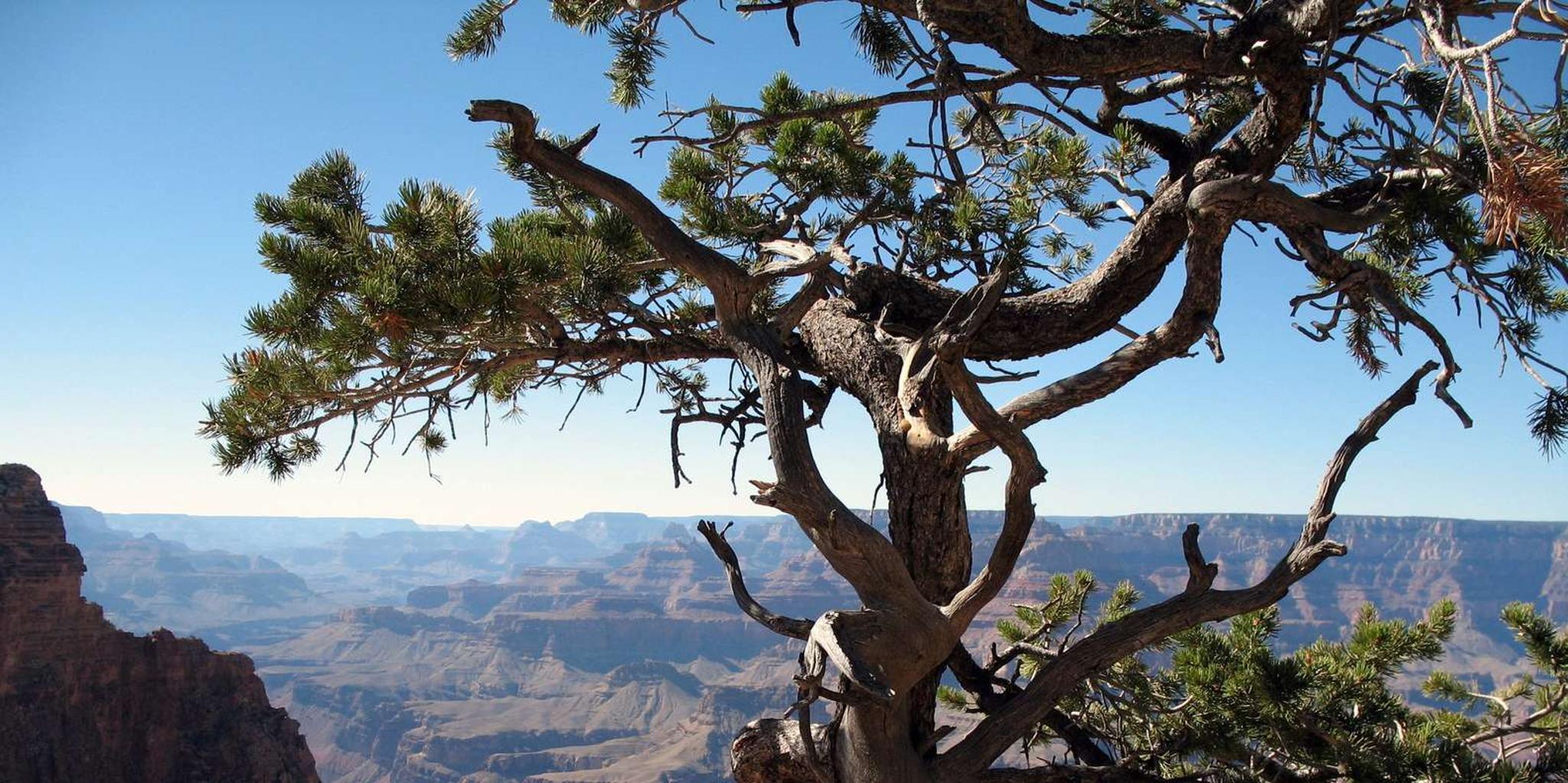 Sedona Grand Canyon Tour - Image 3