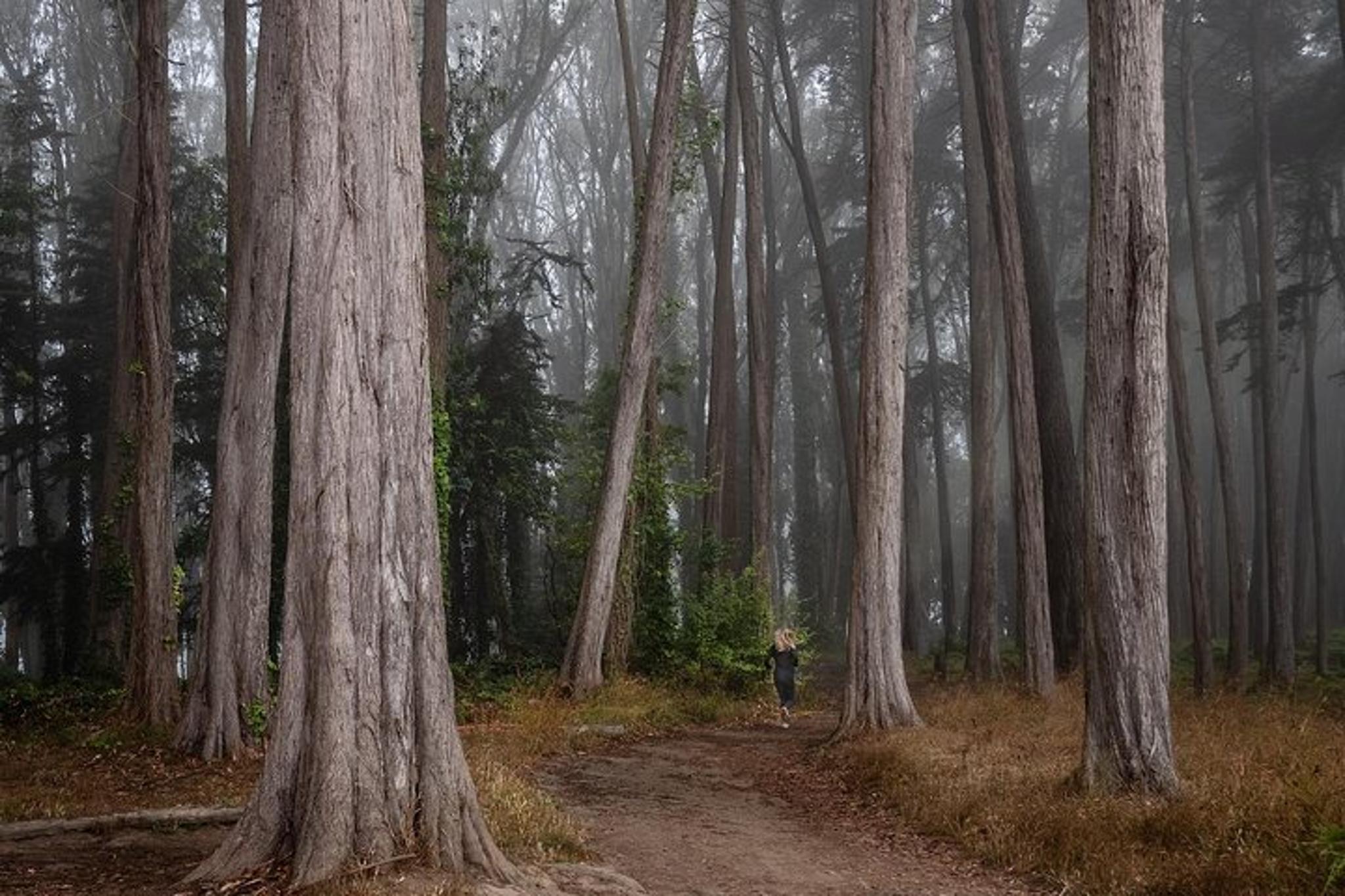 San Francisco Photography Tour at Sunset - Image 6