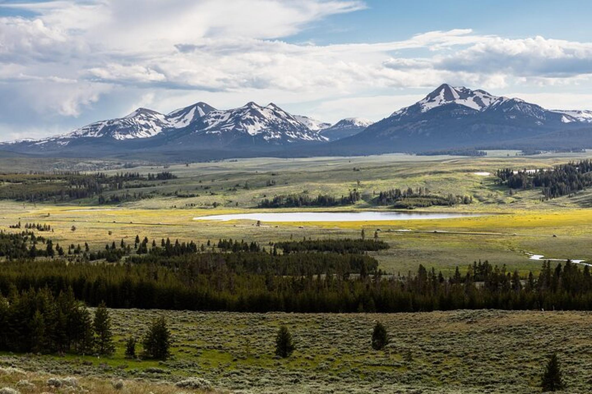 Yellowstone Indian Creek Naturalist Day Hike - Image 3