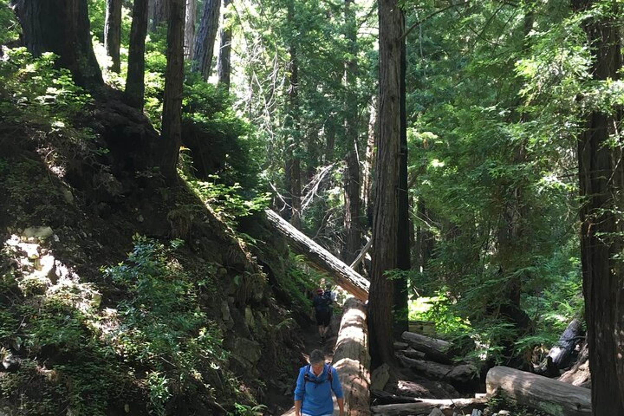 Big Sur Hiking Adventure