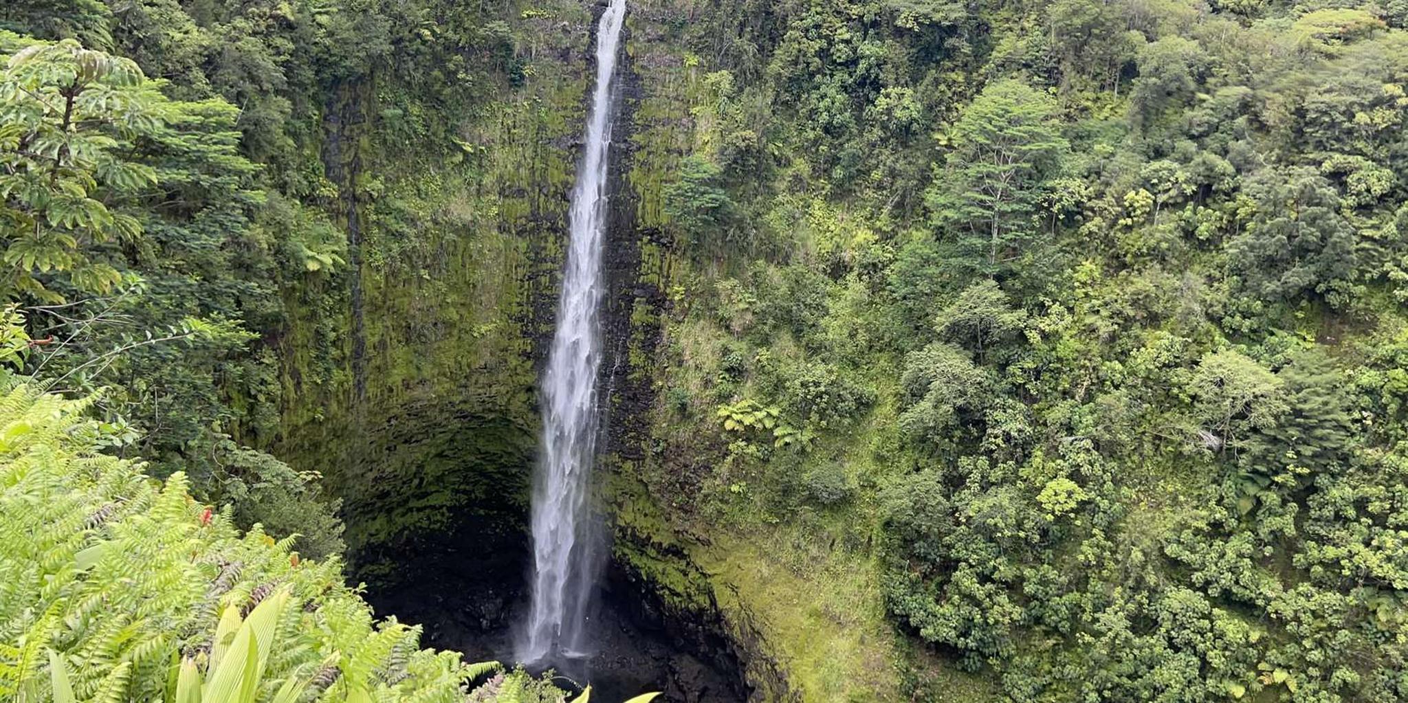 Hilo Waterfall Tour - Image 4