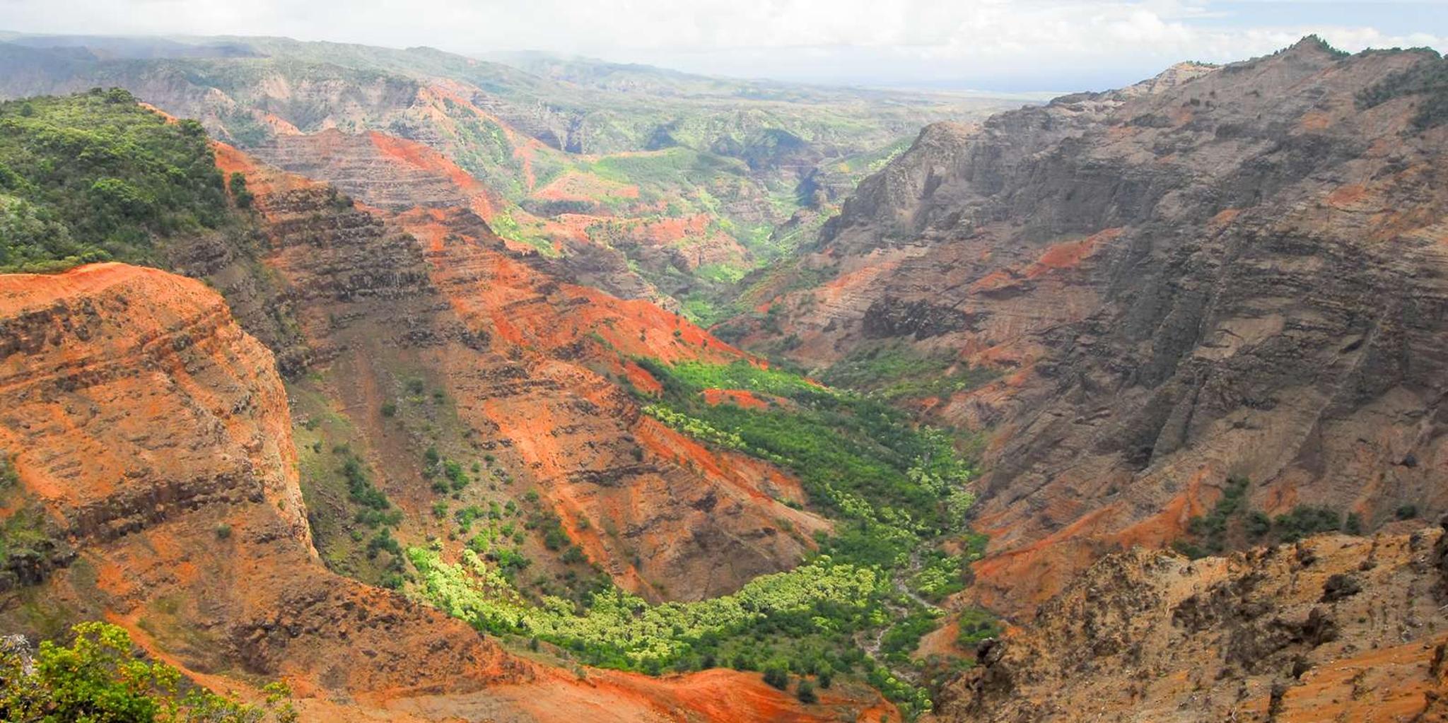 Kauai Waimea Canyon and Wailua River Tour - Image 2