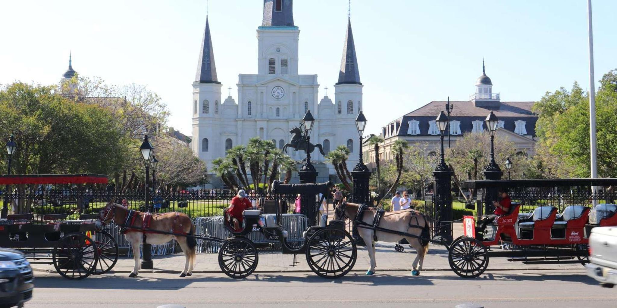 New Orleans City and Cemetery Bus Tour