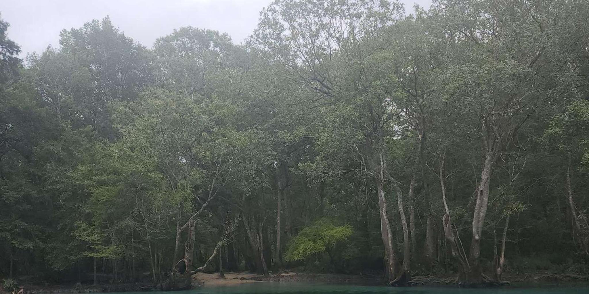 Panama City Beach Cypress Springs Kayak & Paddle Tour - Image 2