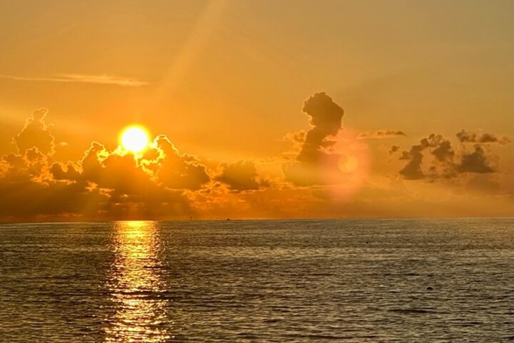 Florida Sunset Boat Tour with Dolphins - Image 6