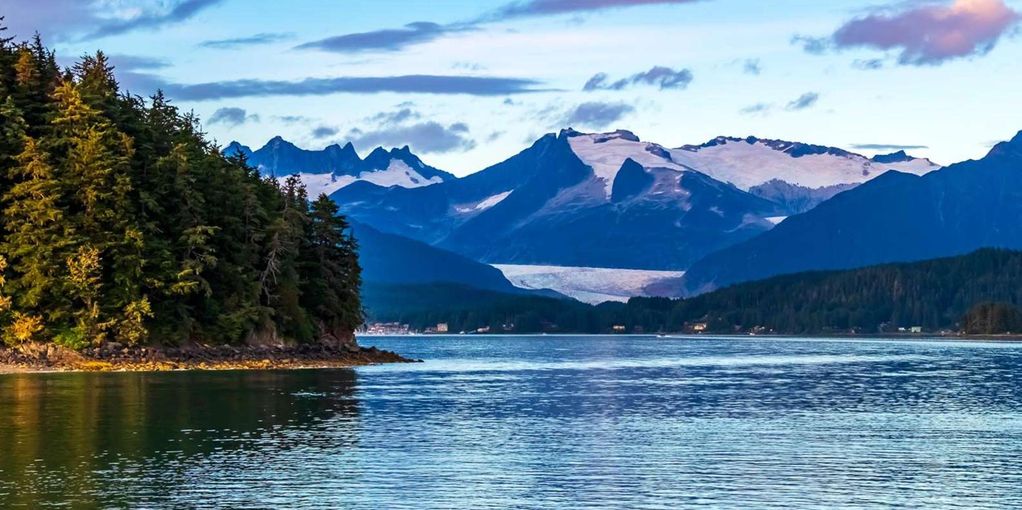 Juneau Whale Watching Cruise - Image 6
