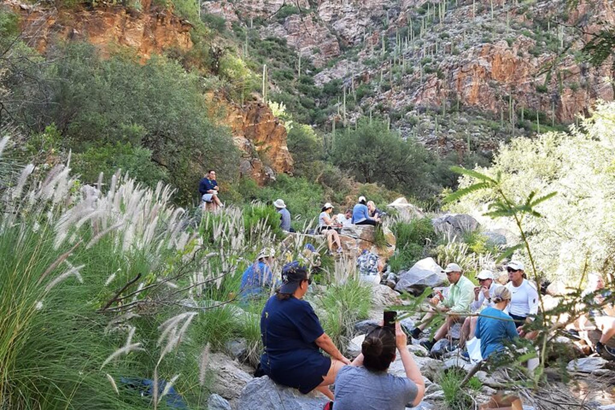 Tucson Hiking Tour in Ventana and Sabino Canyons - Image 1