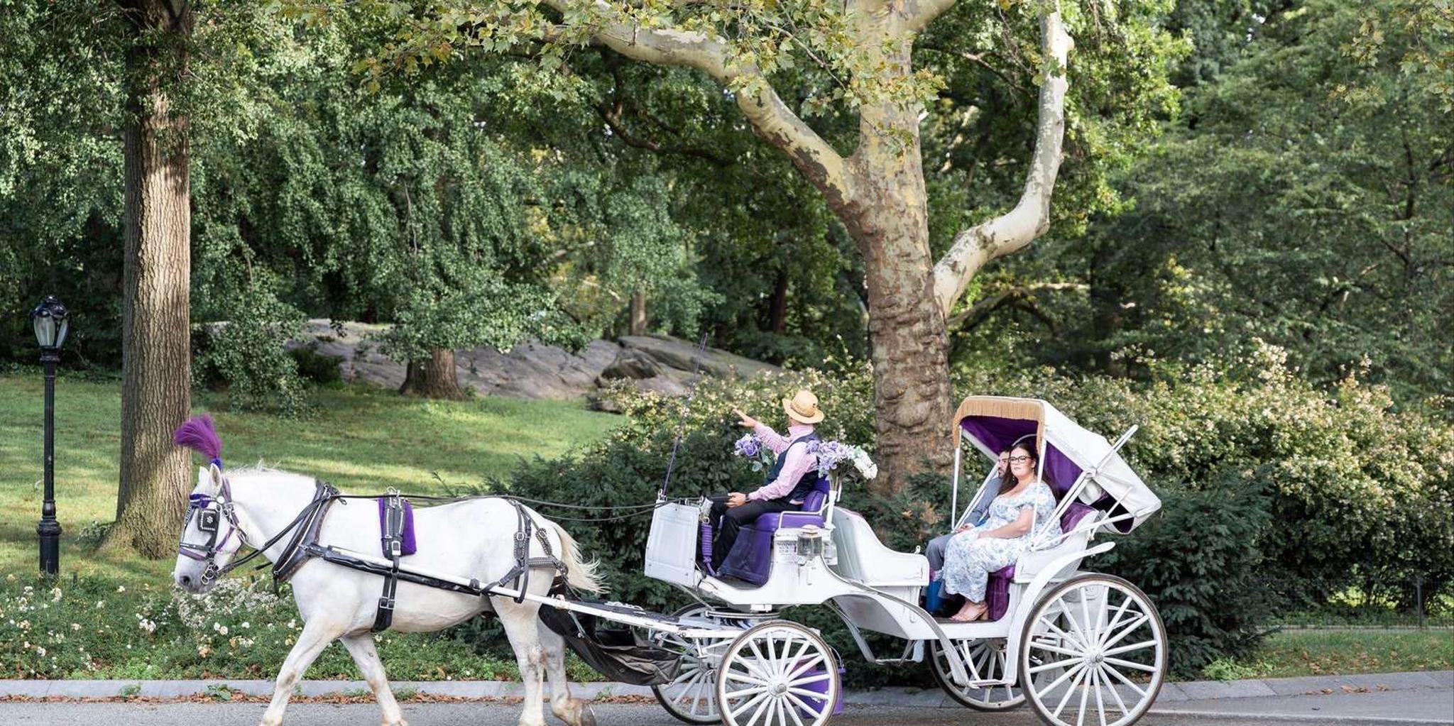 New York Central Park Carriage Ride - Image 2