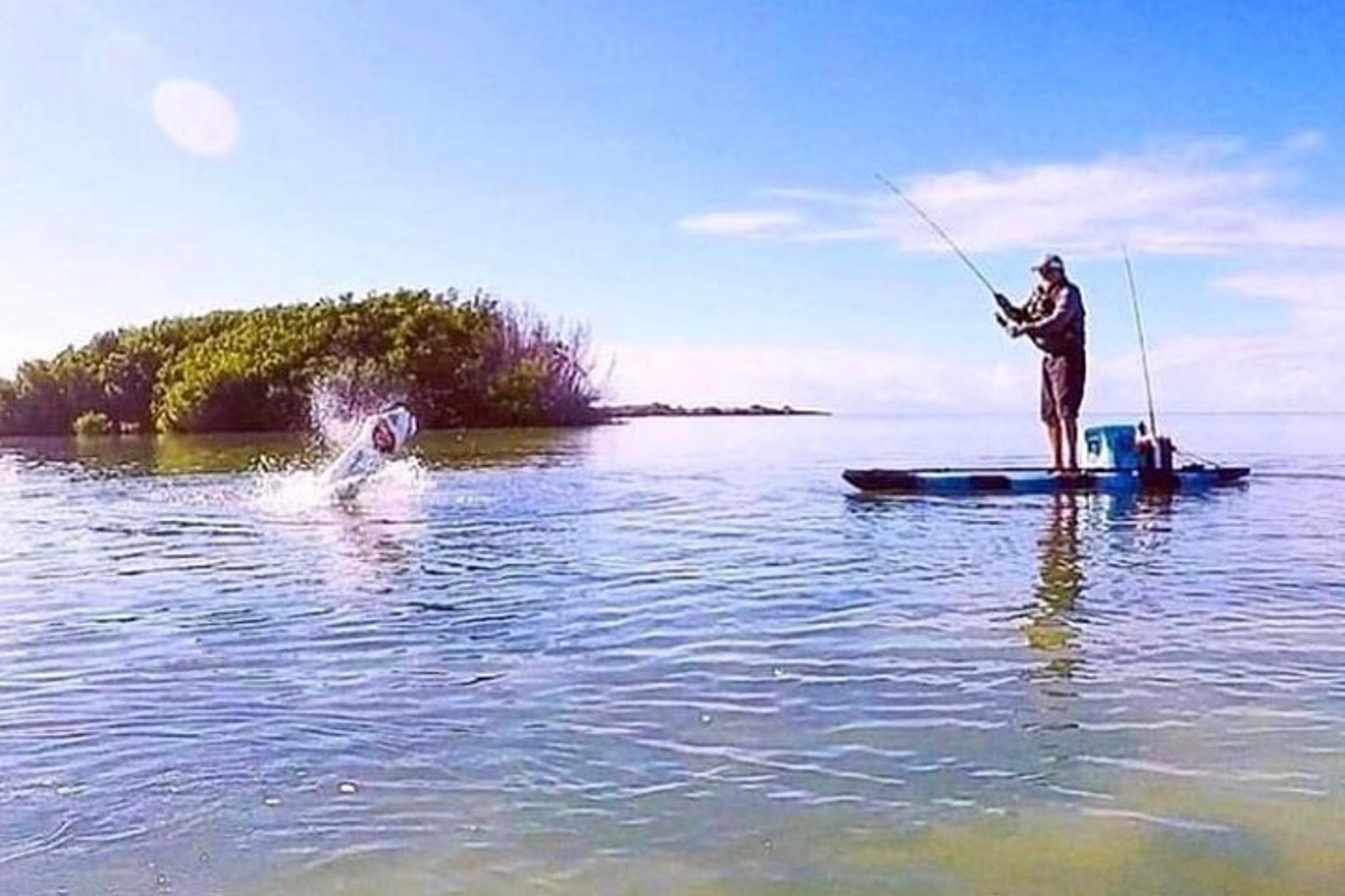 Tampa Motorized Fishing Kayak Rental 4 hr