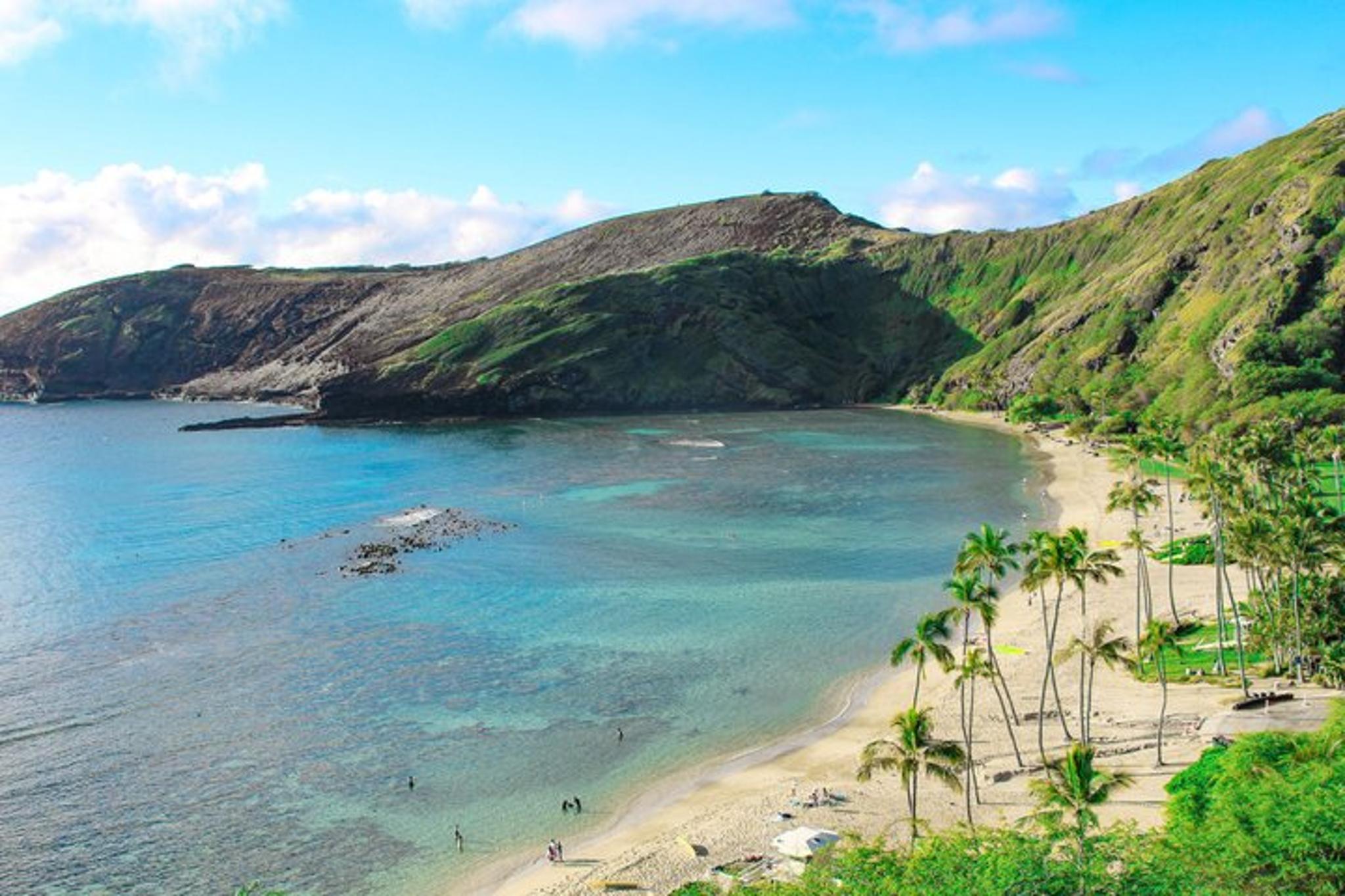 Oahu Circle Island Sights & Bites Tour - Image 2