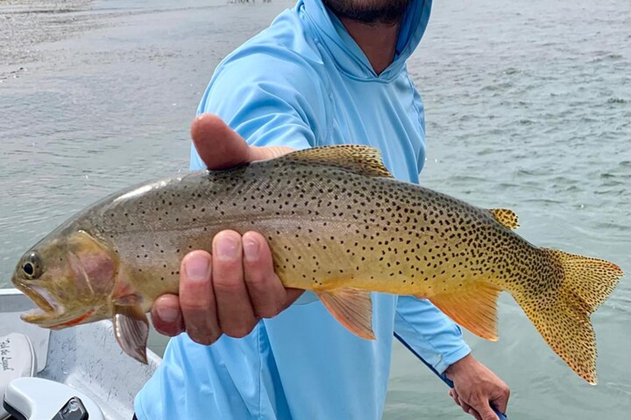 Jackson Fishing Float Tour - Image 3