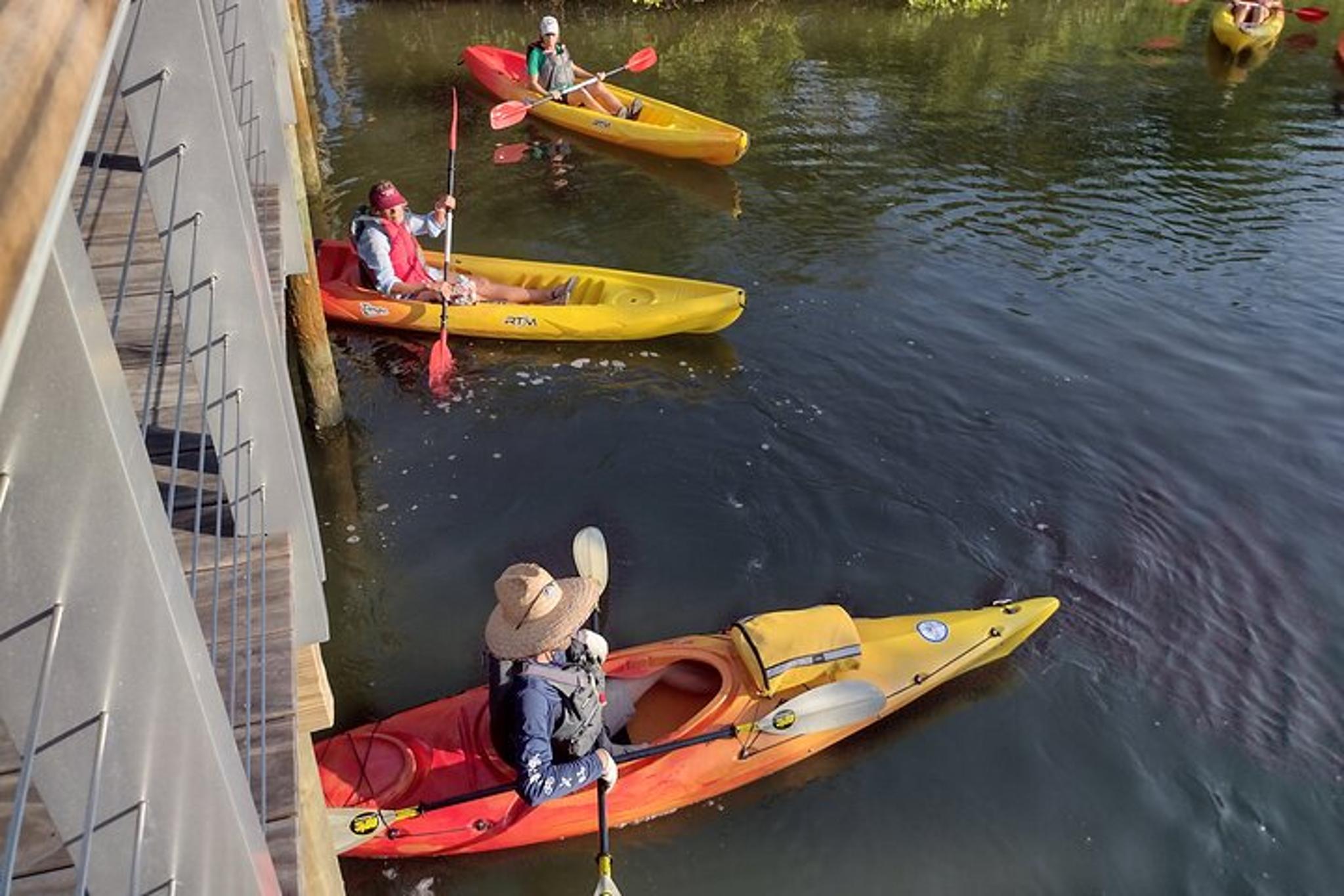 Sarasota Kayak Paddling Experience - Image 5