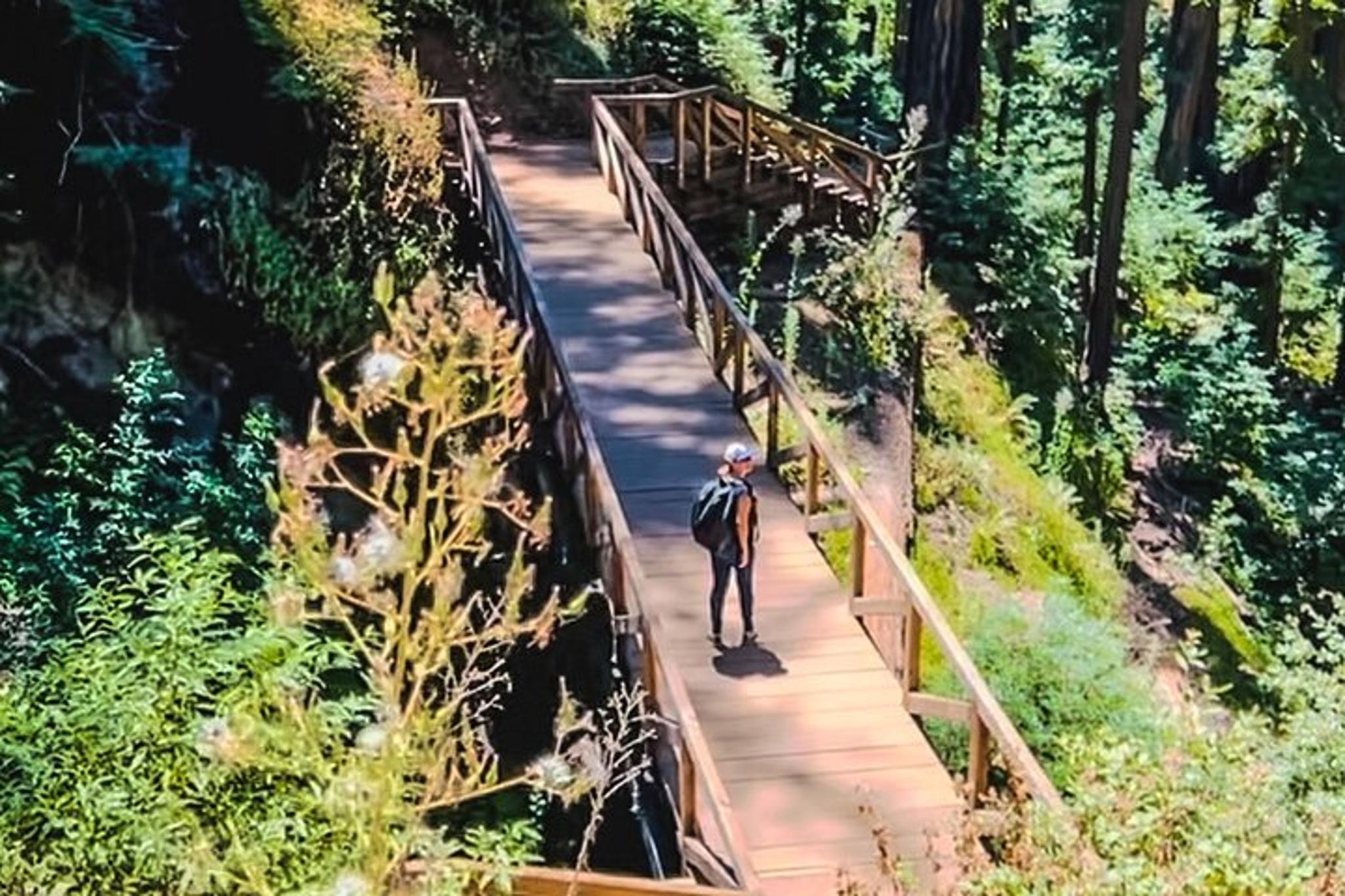 Big Sur Photo Tour with Professional Photographer - Image 5