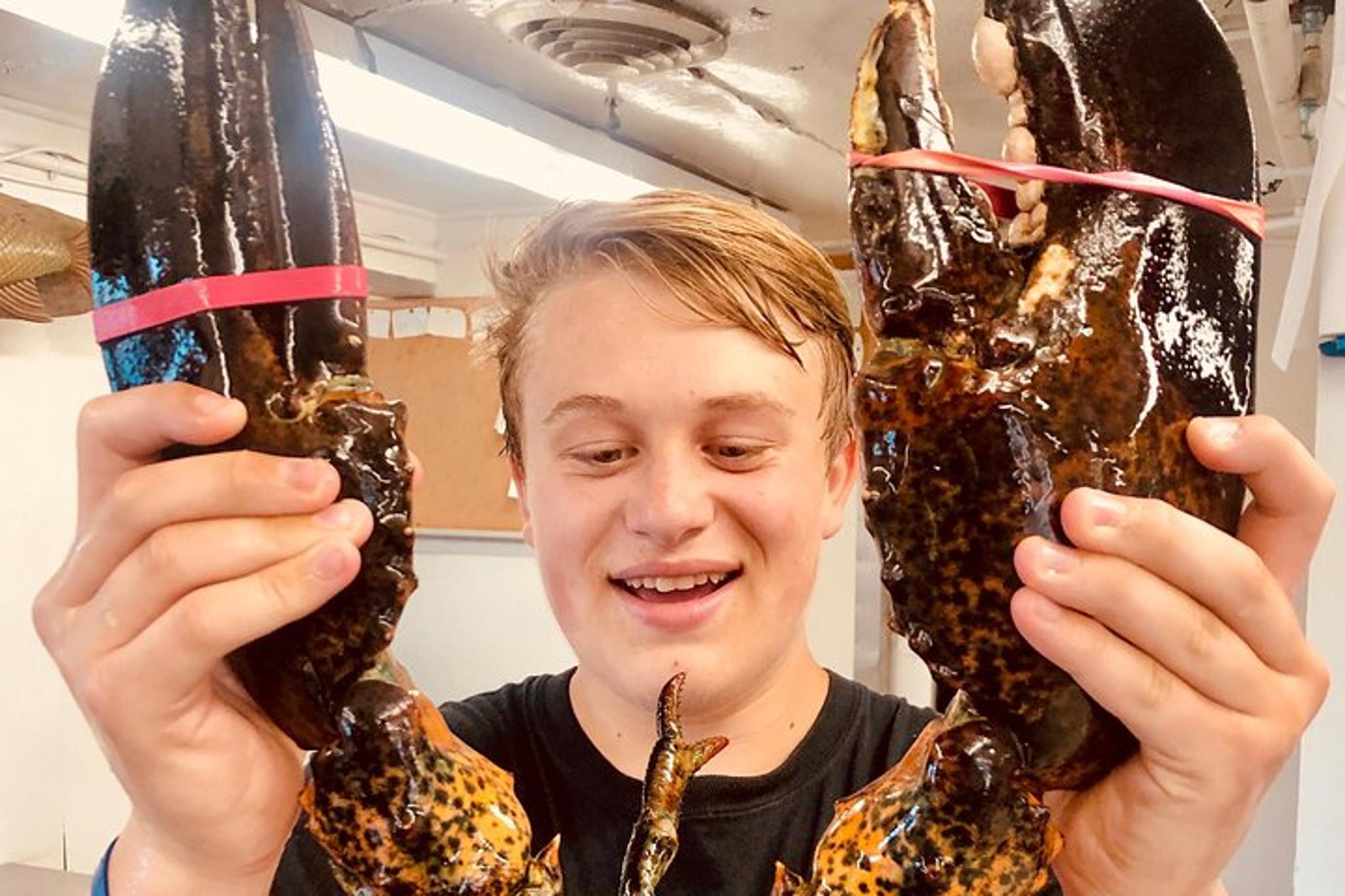 Martha's Vineyard Private Tour - Image 4