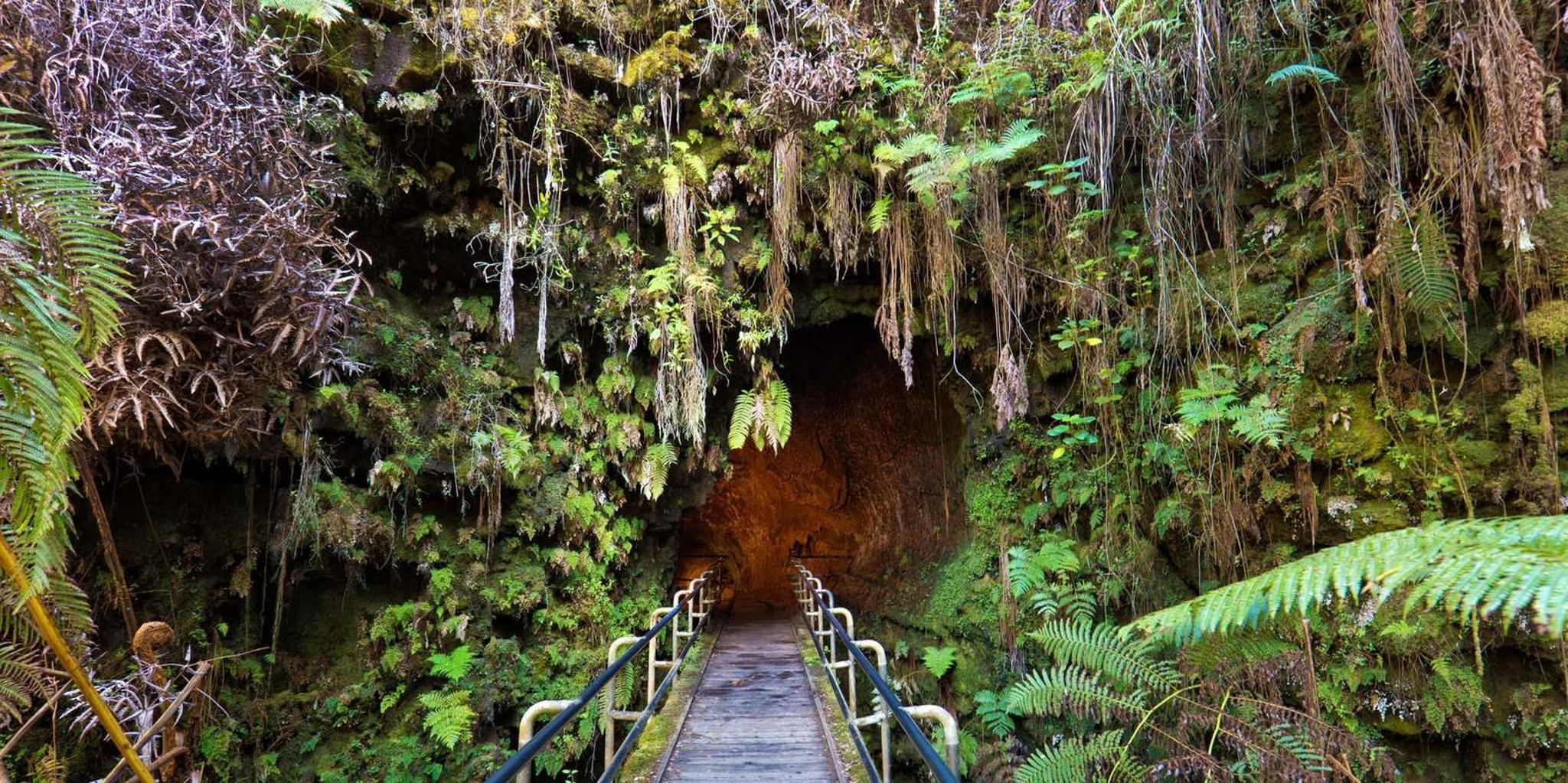 Volcano Hike: Kilauea Iki Crater and Lava Tube - Image 3