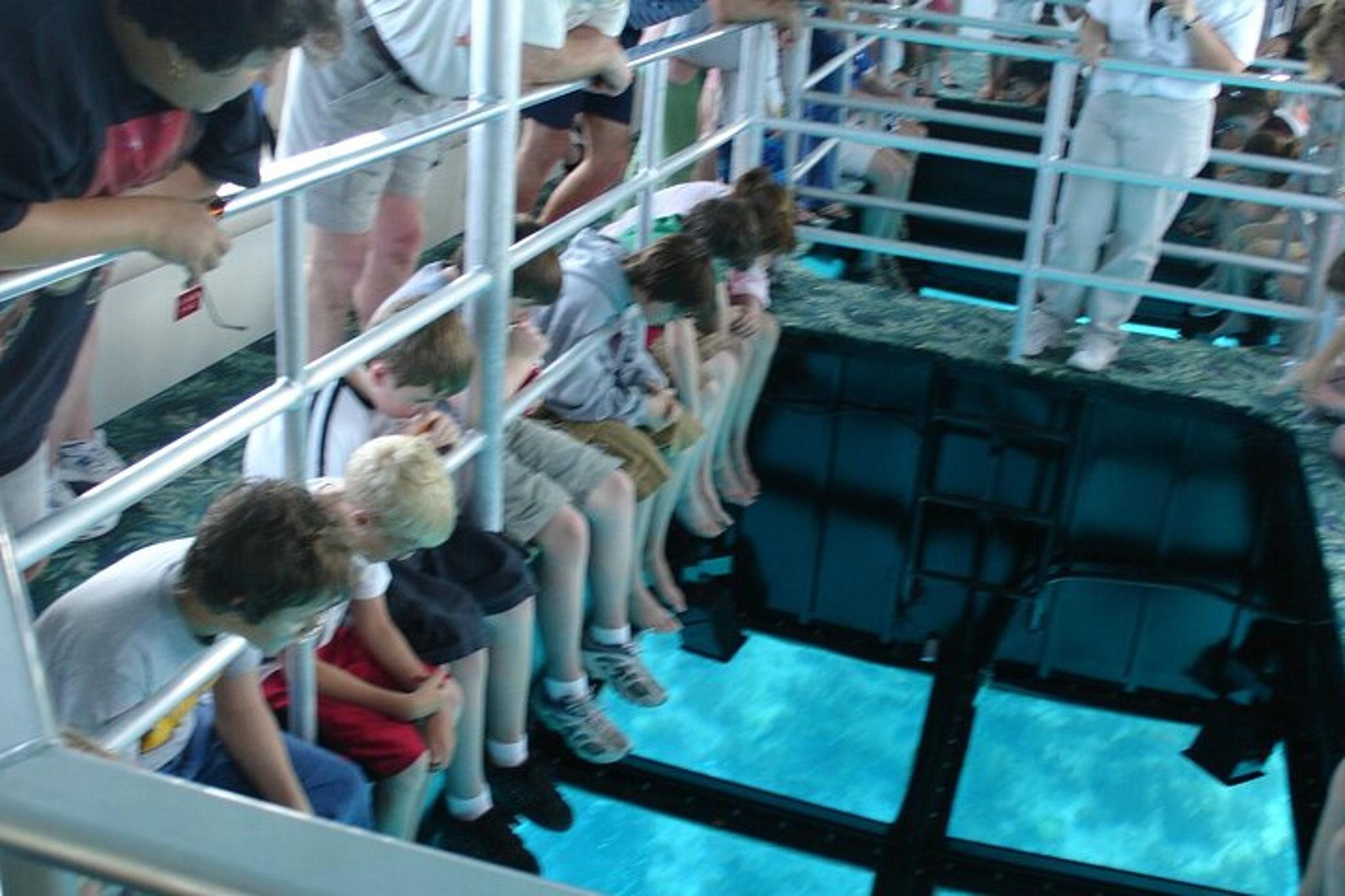 Key Largo Coral Reef Glass Bottom Boat Tour - Image 3